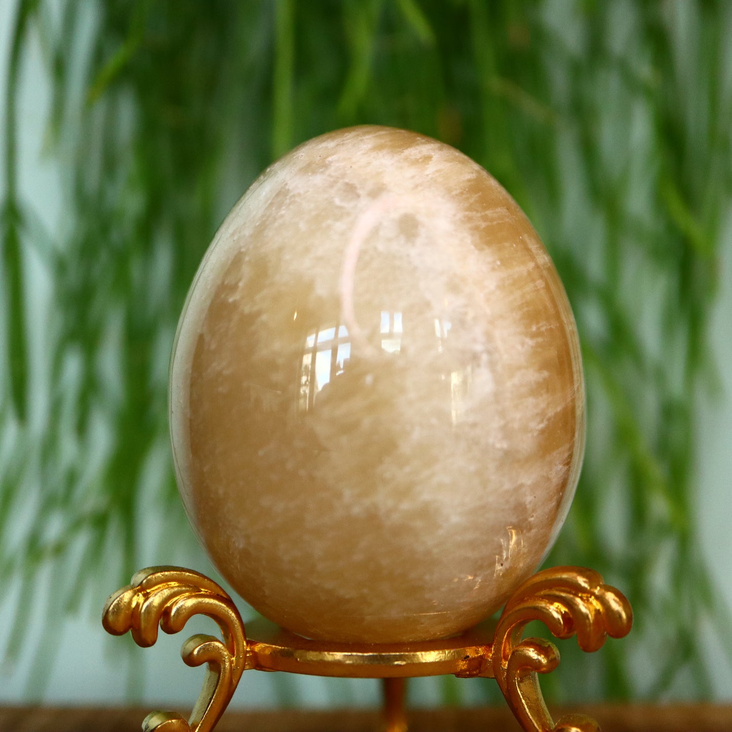 Calciet ei