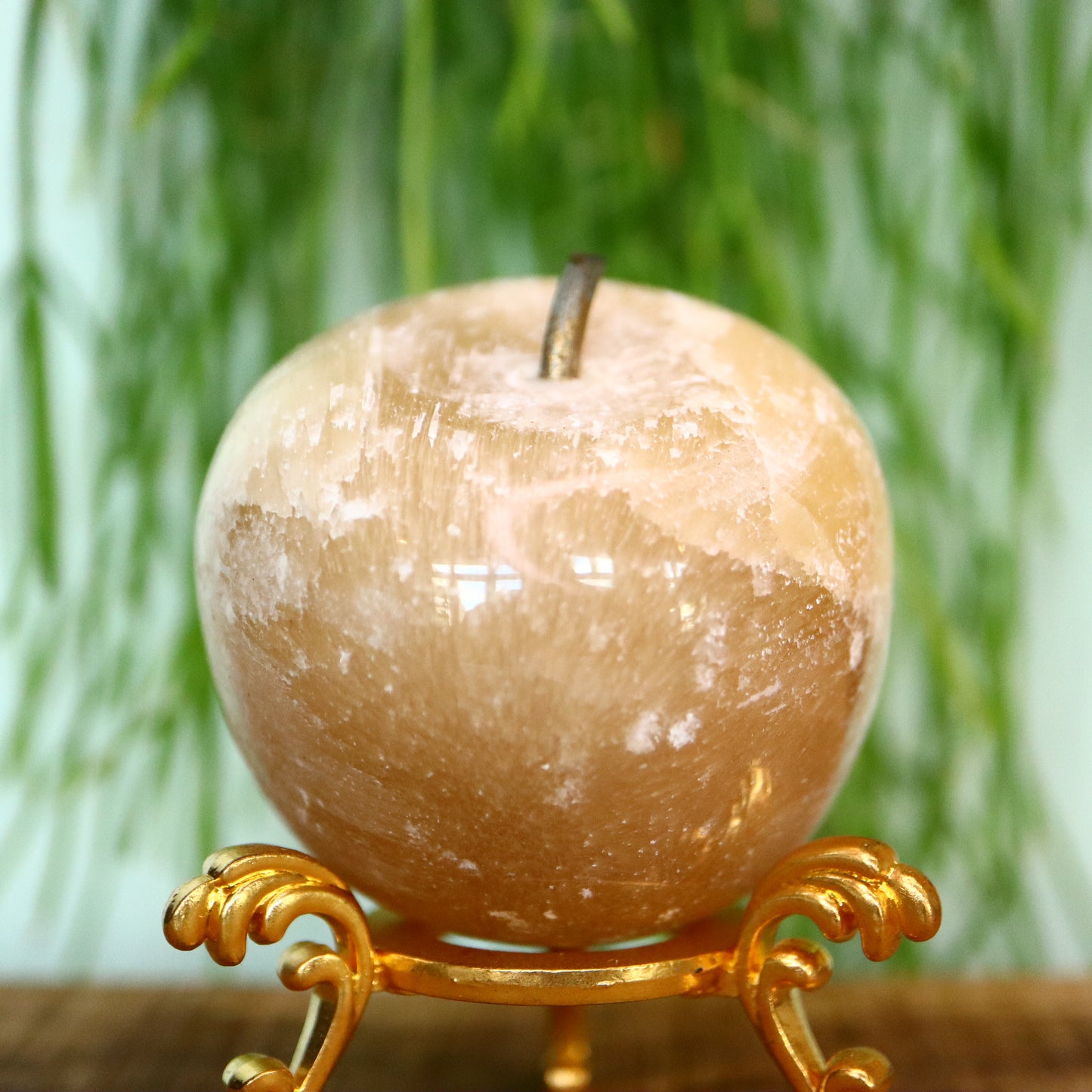 Calciet appel