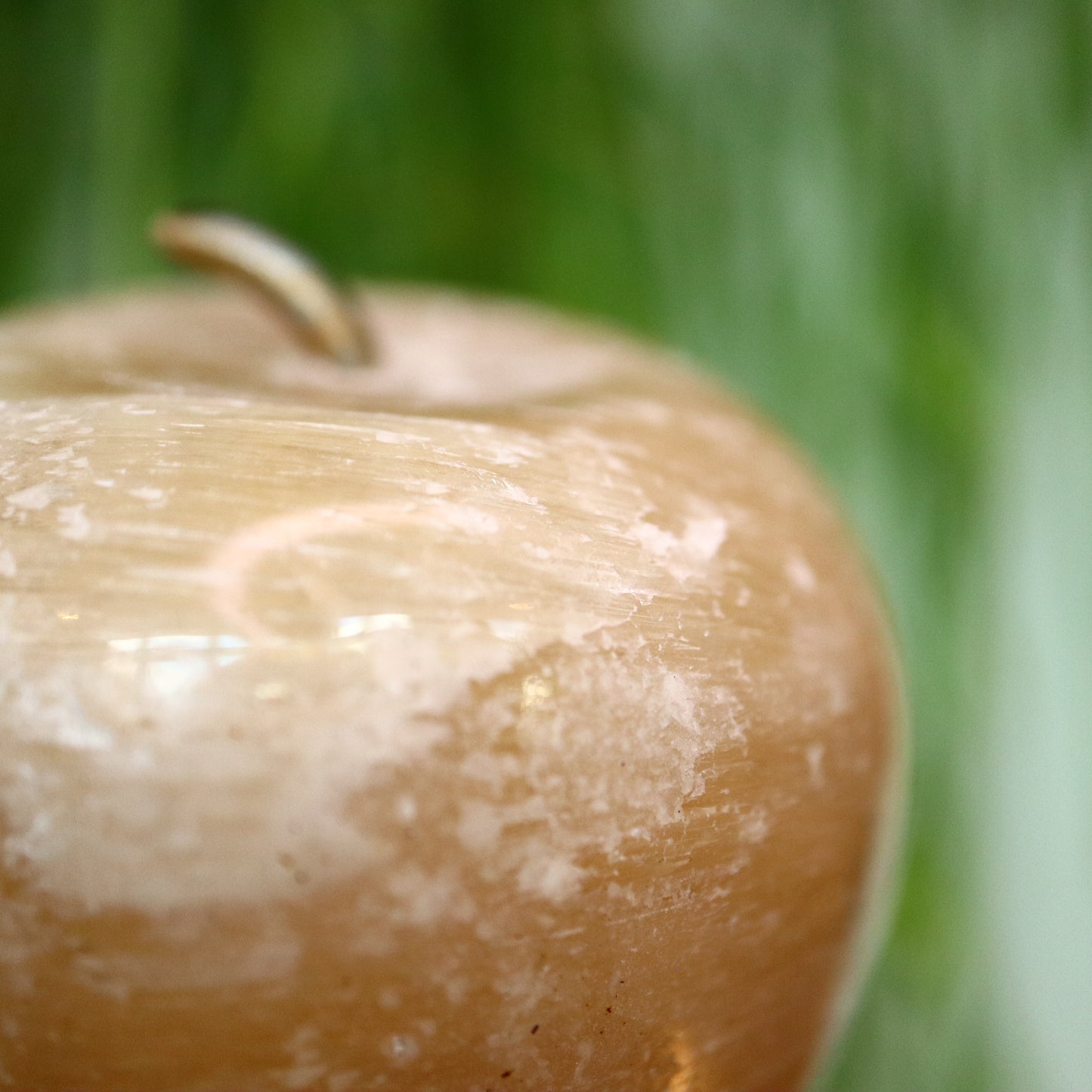 Calciet appel