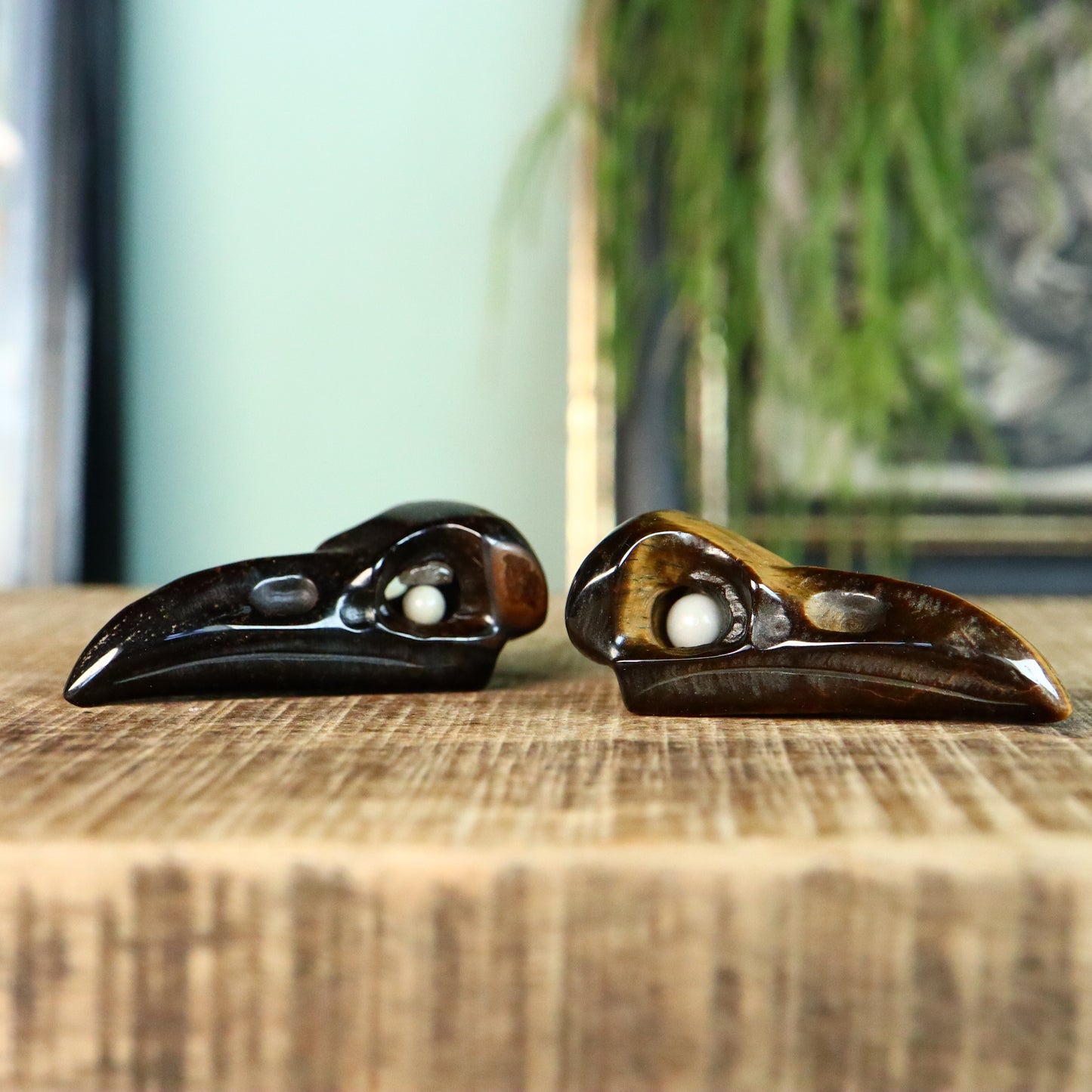 raven schedel / hanger Tijgeroog