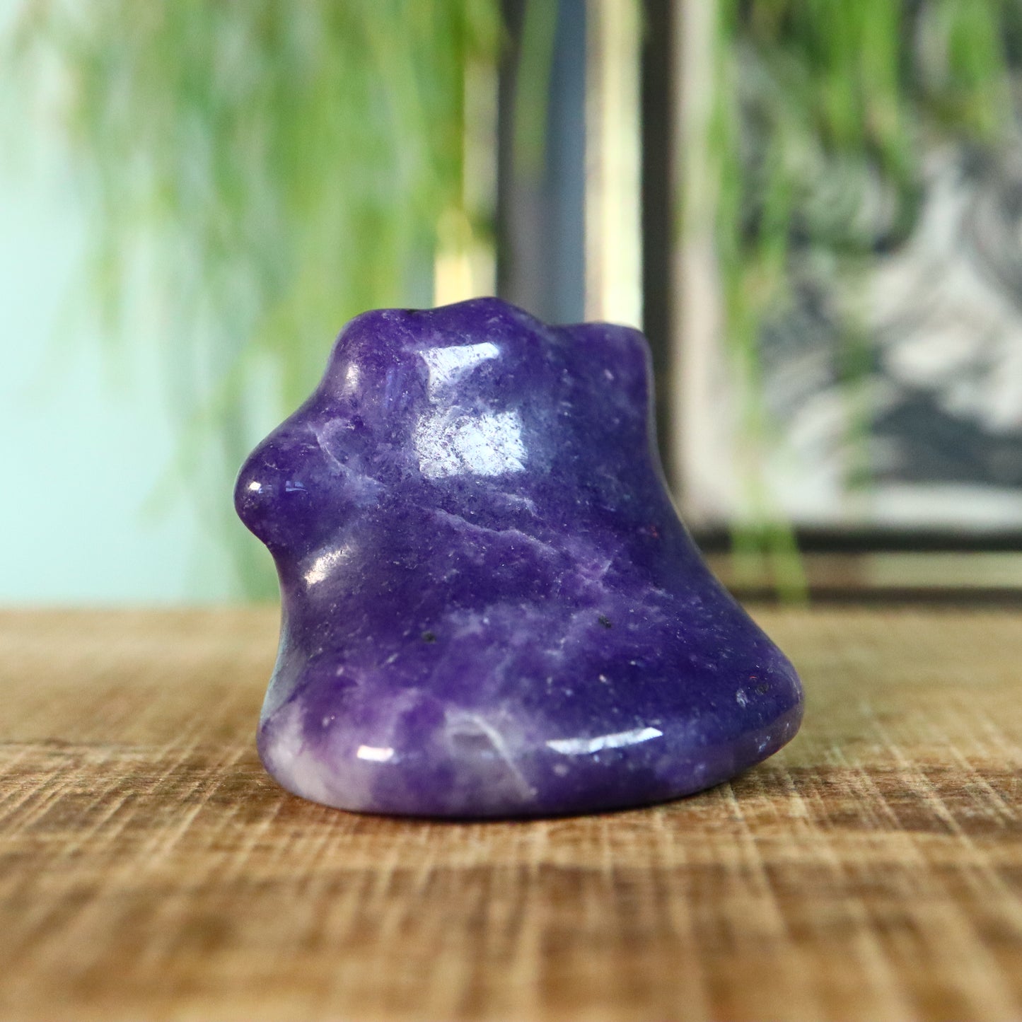 Ditto Lepidoliet