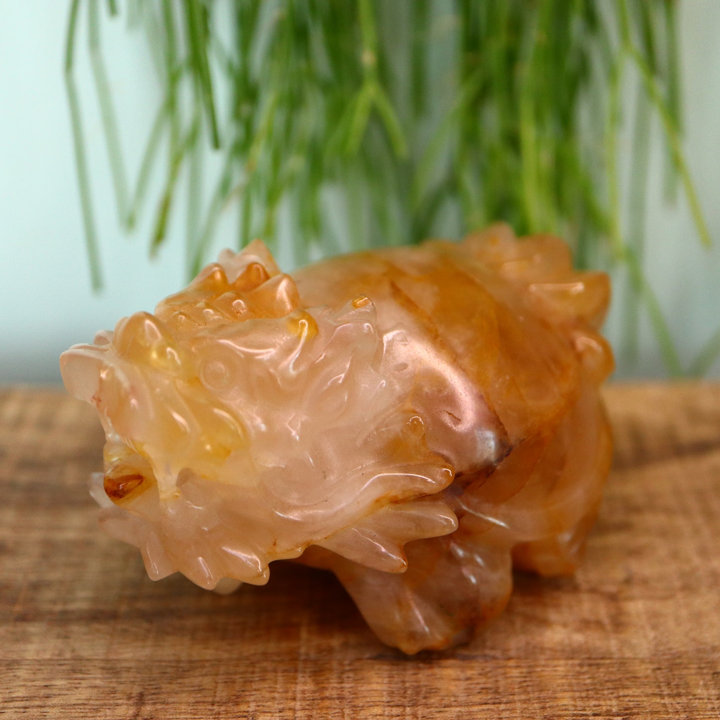 Dragon turtle - Hematoide limoniet kwarts