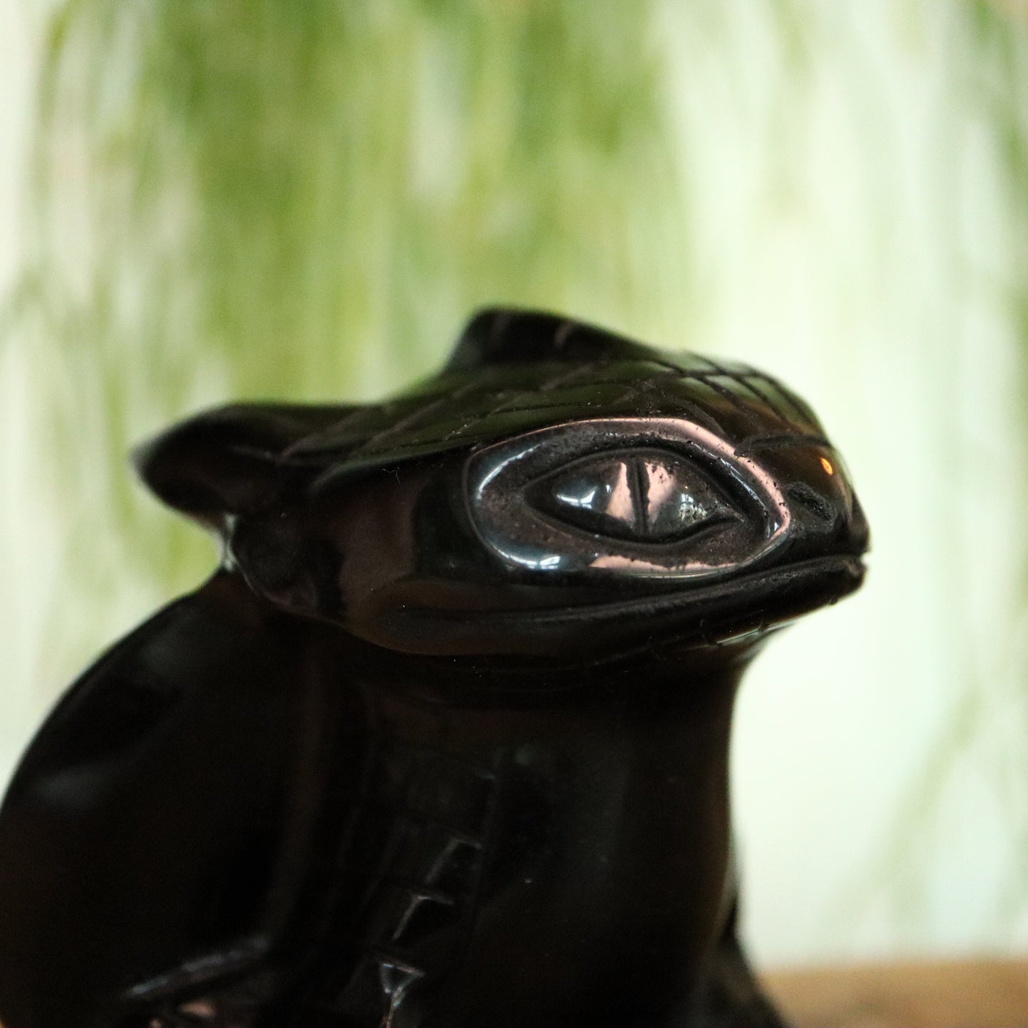 Toothless XL