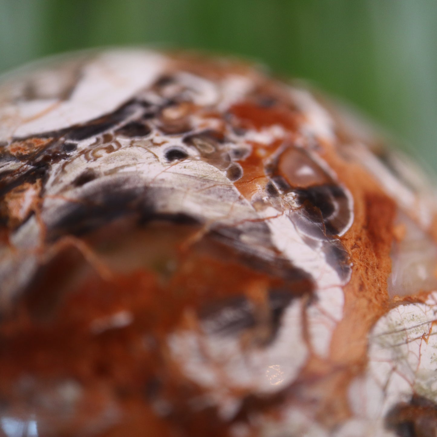 Indonesische Bloodsteen - Money agate