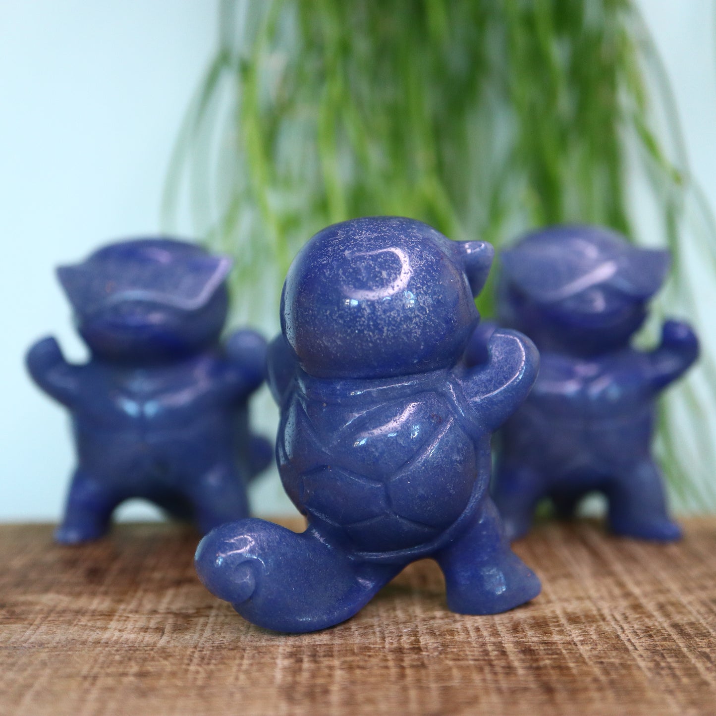 Squirtle (squirtle squad)