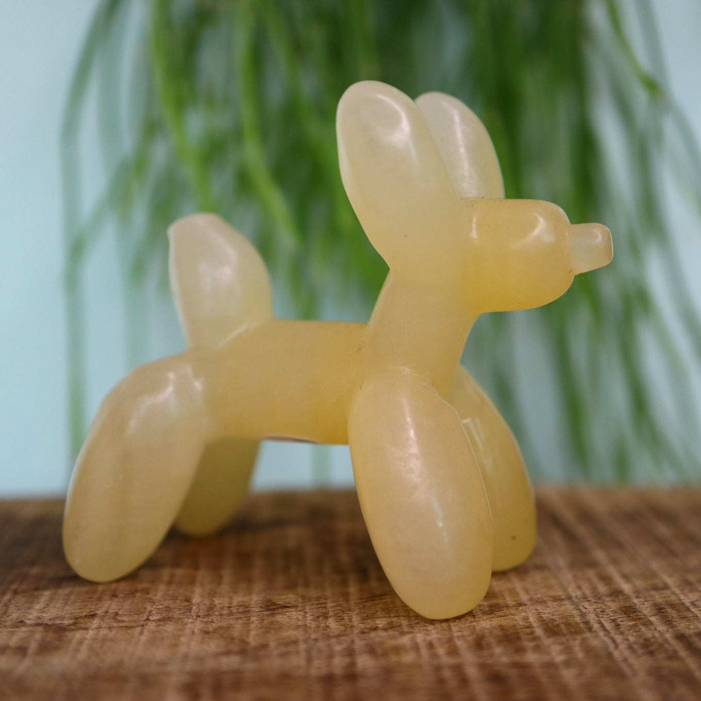 Ballon Hondje