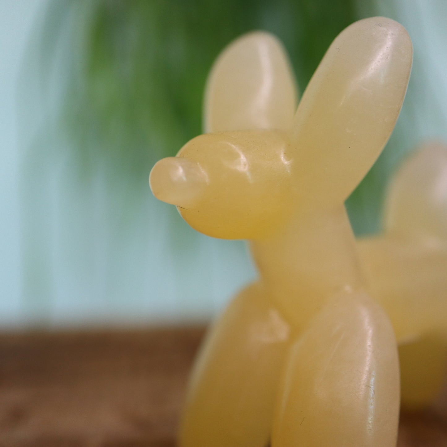 Ballon Hondje