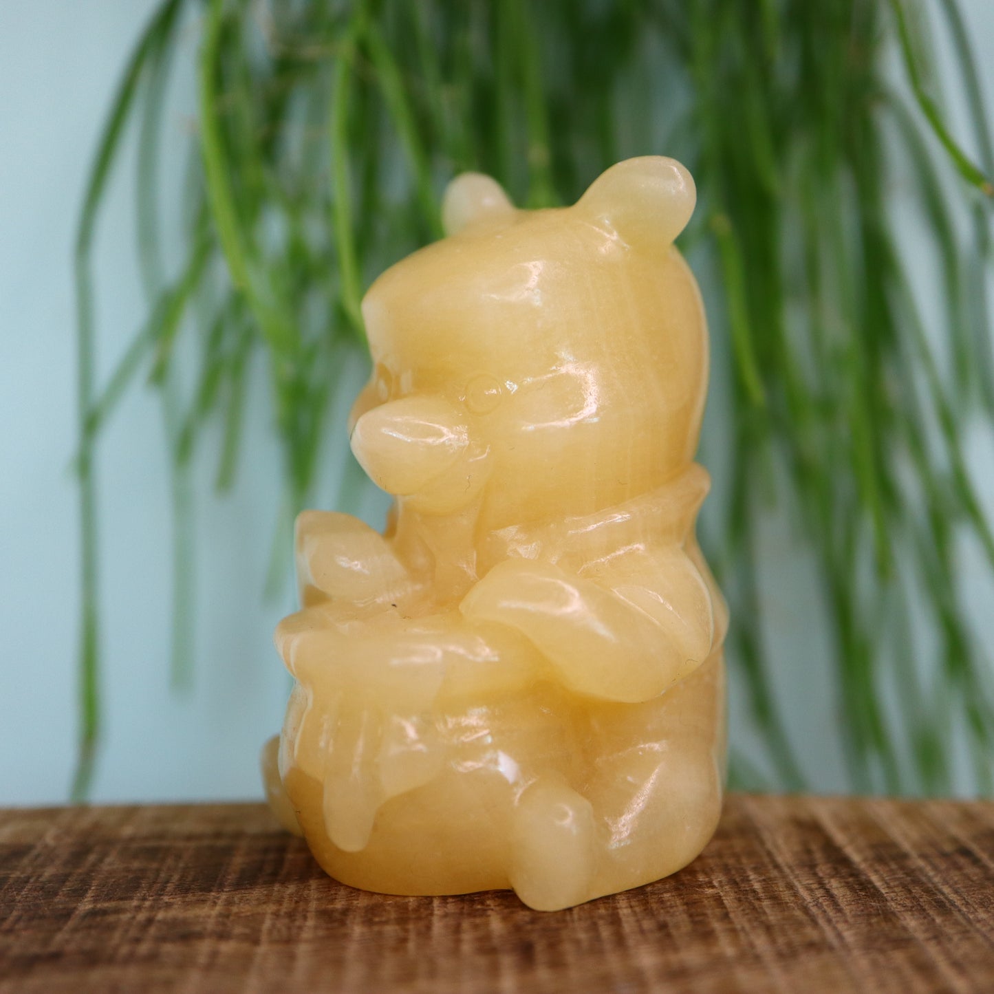 Winnie the Pooh