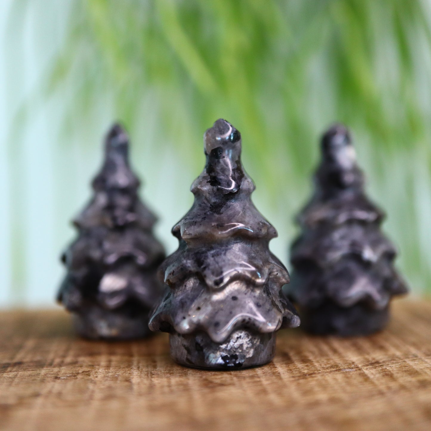 Kerstboom Larvikiet