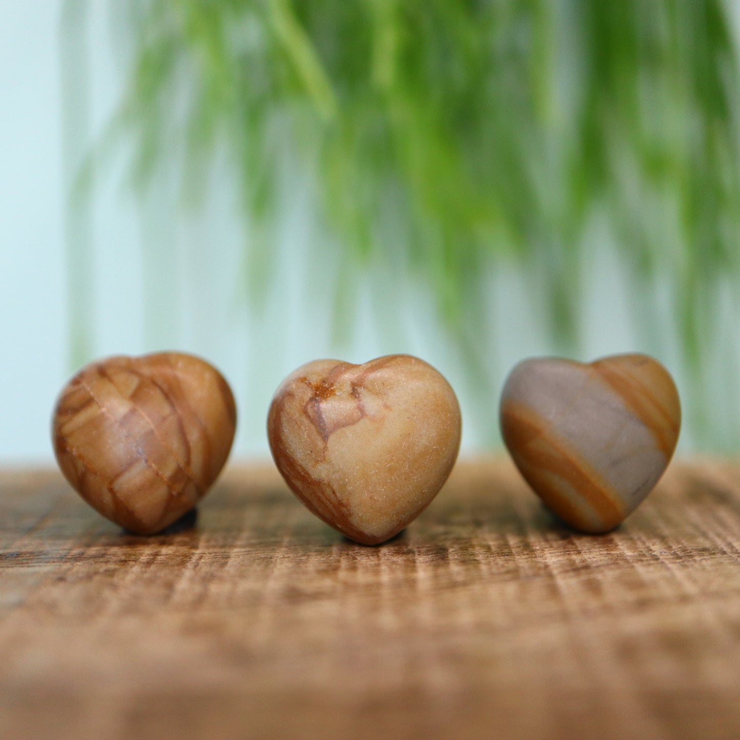 Mini hart houtnerf jasper