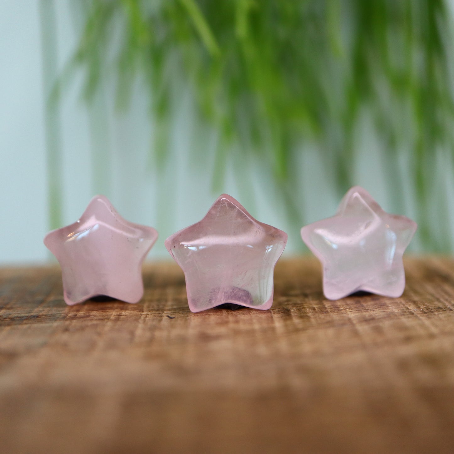 Mini ster Rozenkwarts