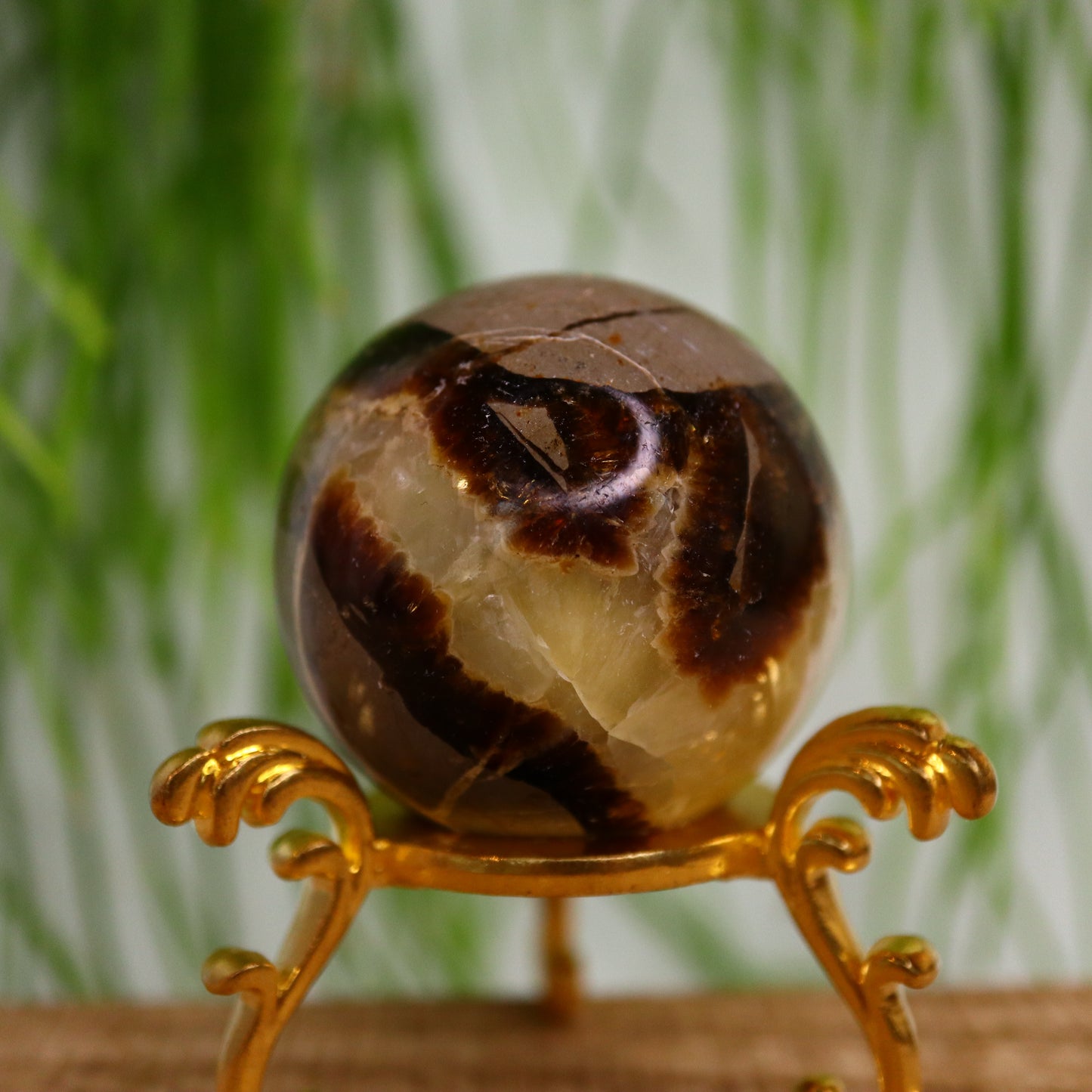 Septarie