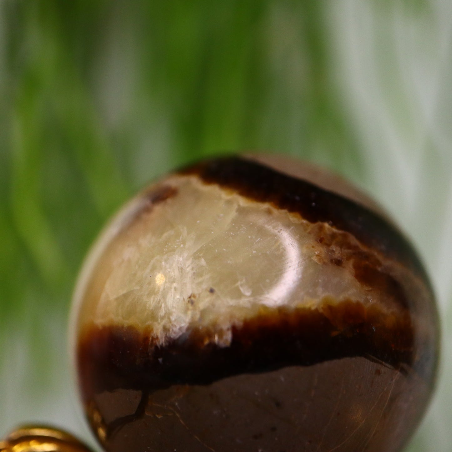 Septarie