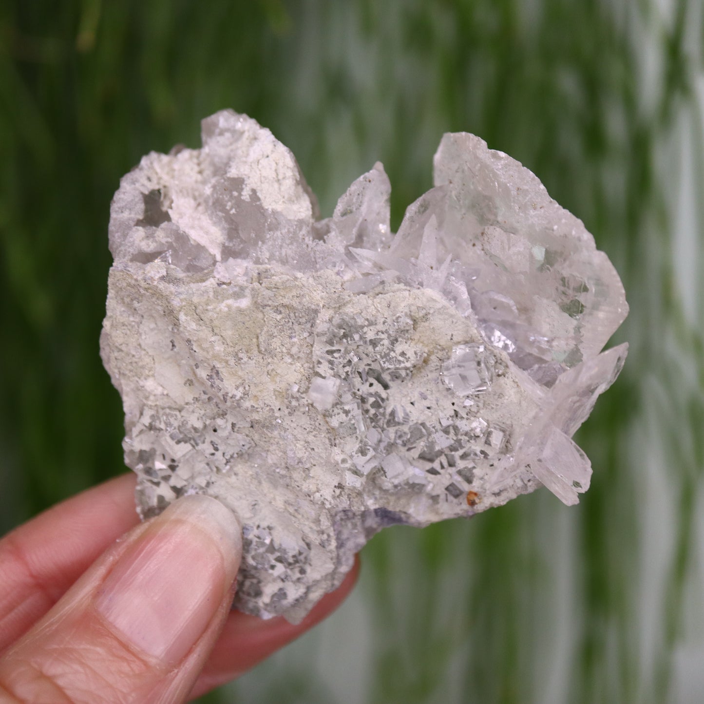 Calciet