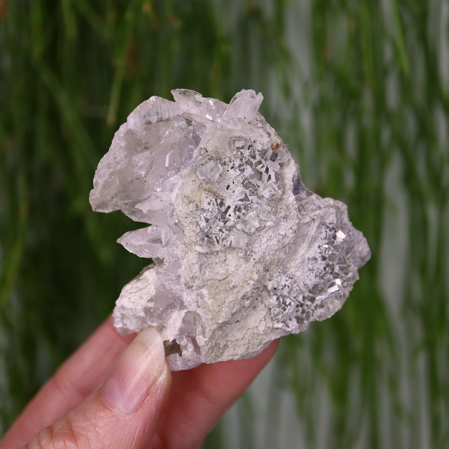 Calciet