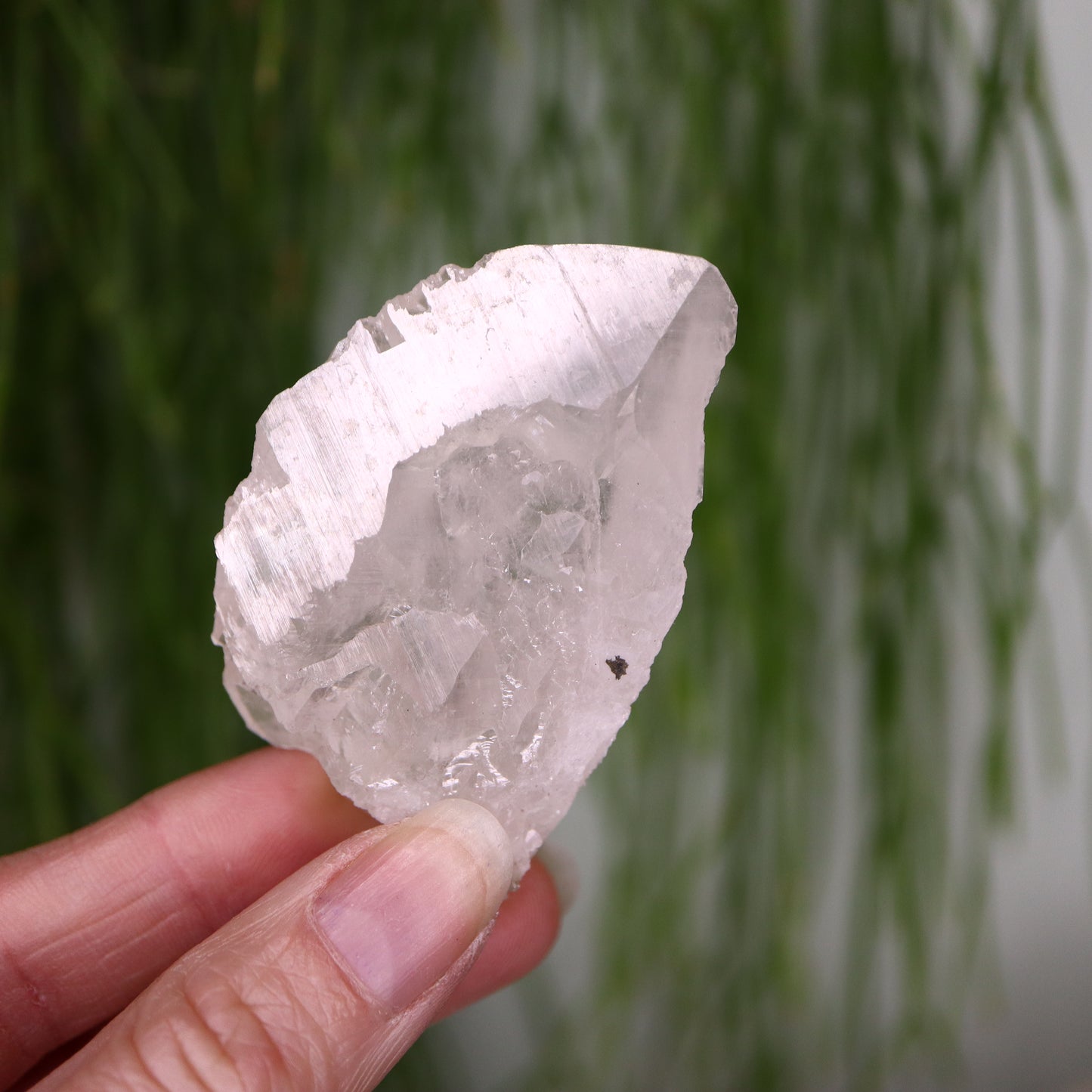 Calciet