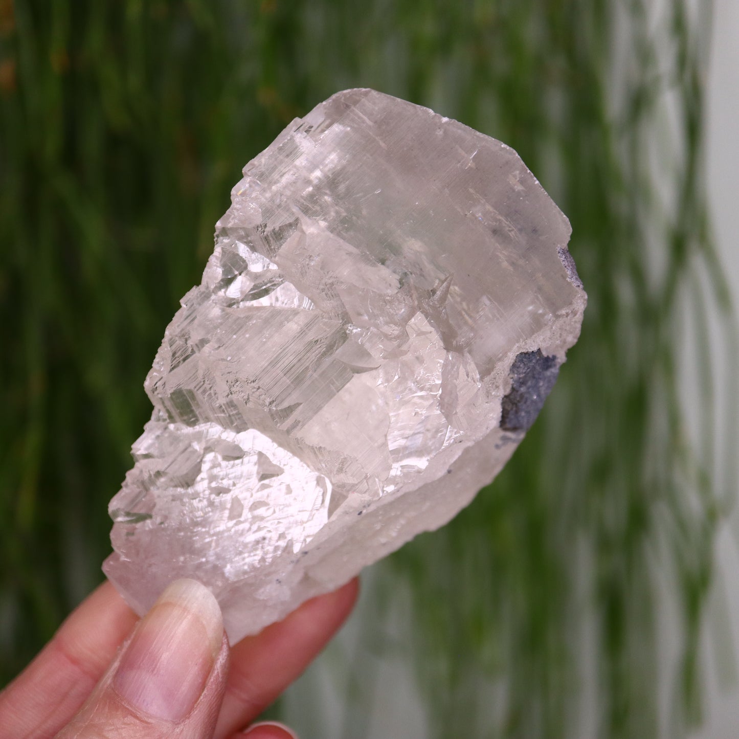 Calciet