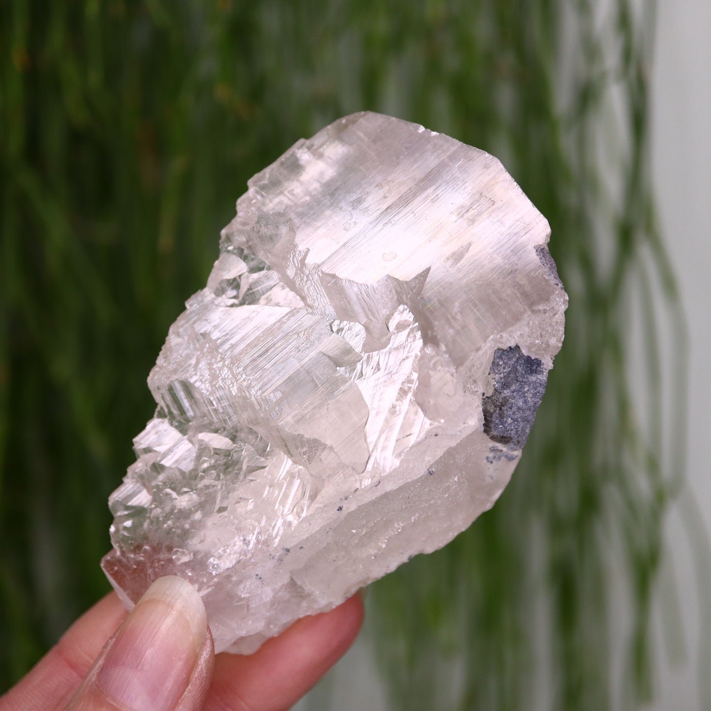 Calciet