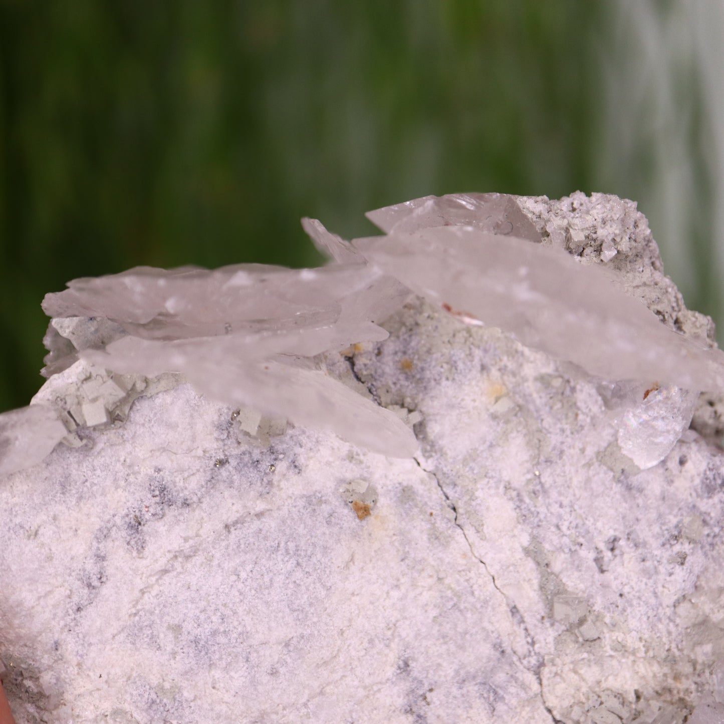 Calciet