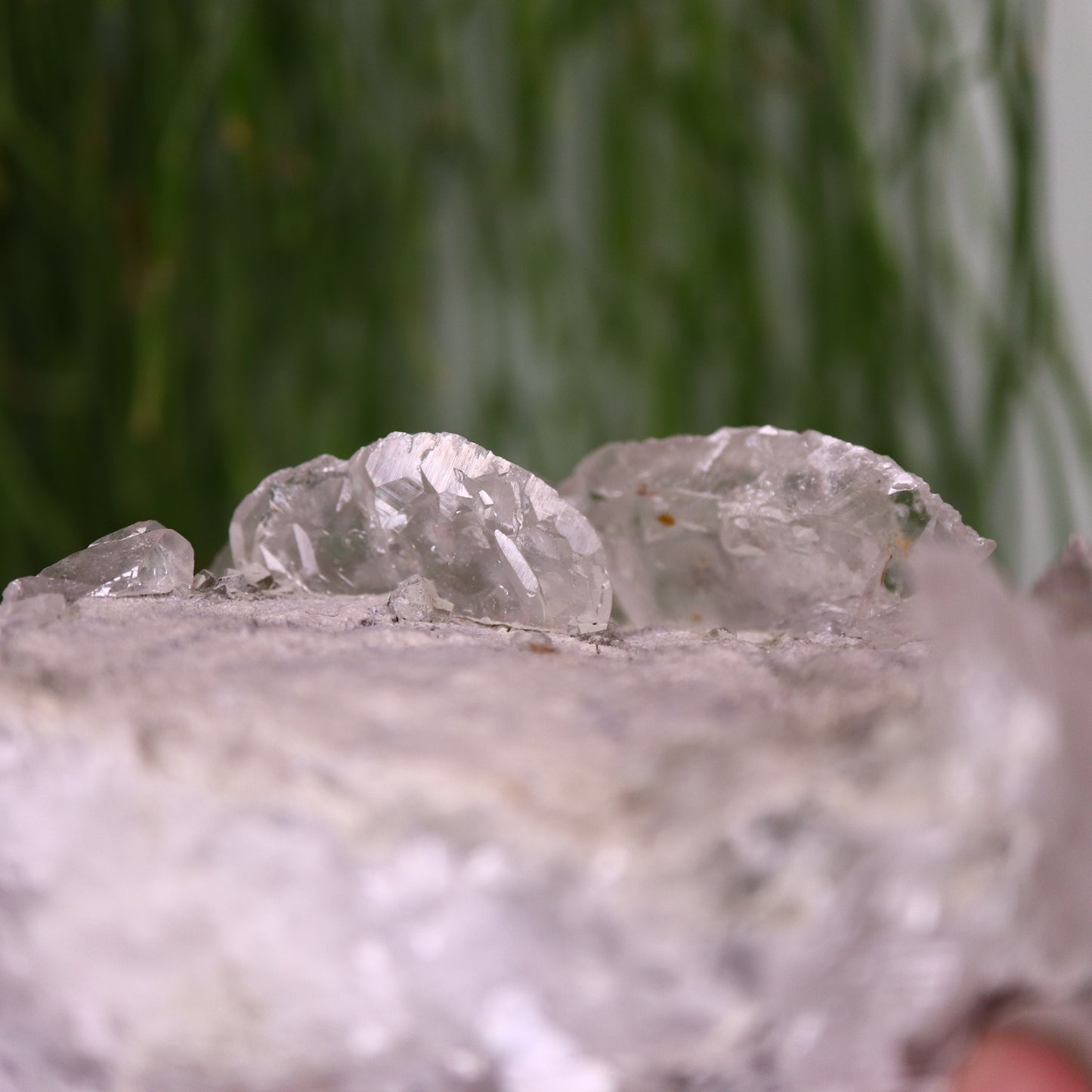 Calciet