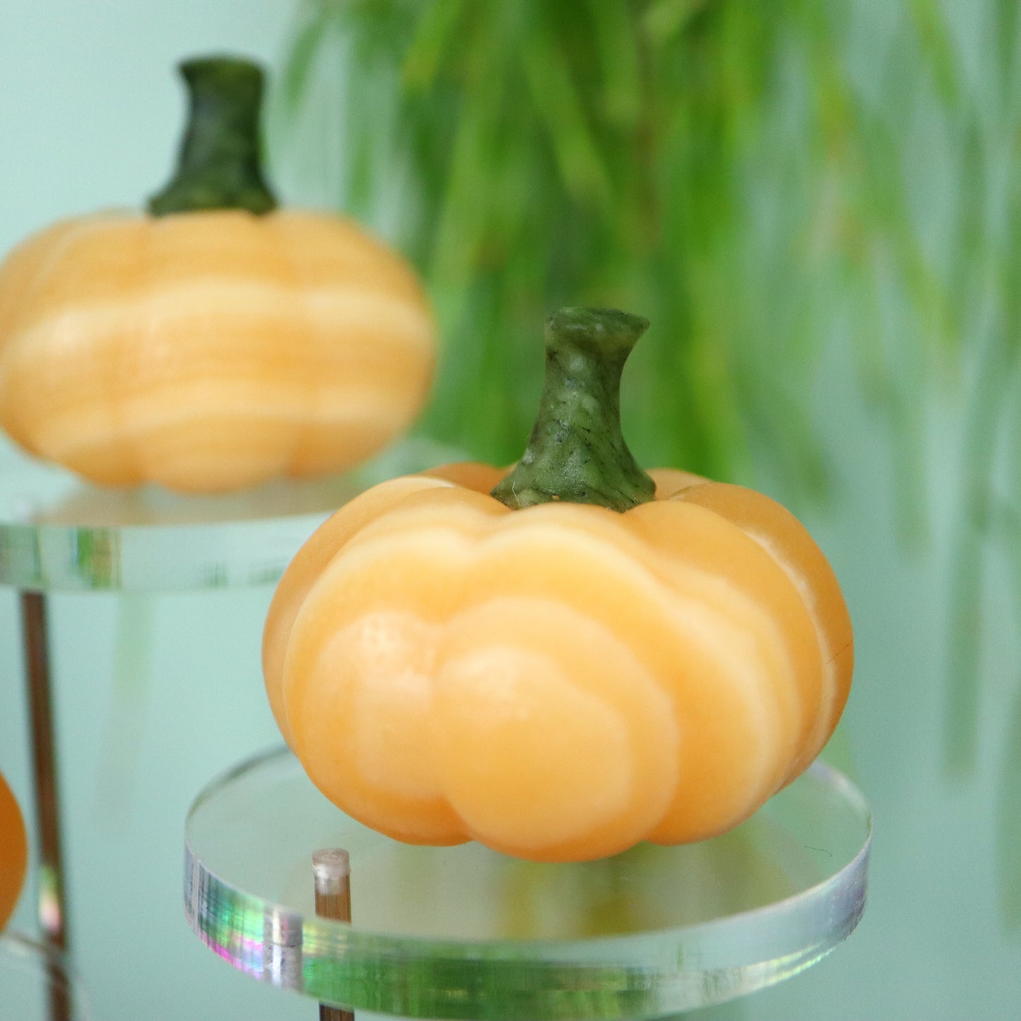 Pompoen