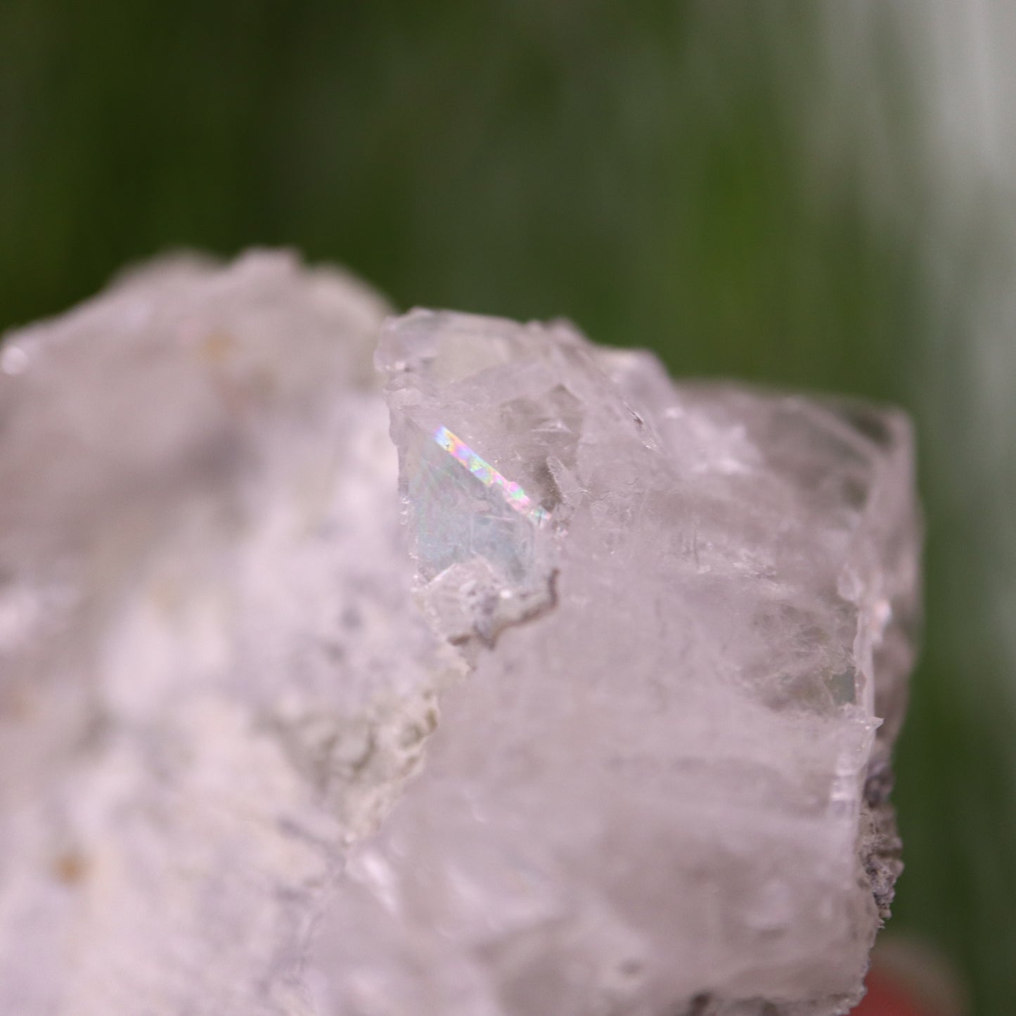 Calciet