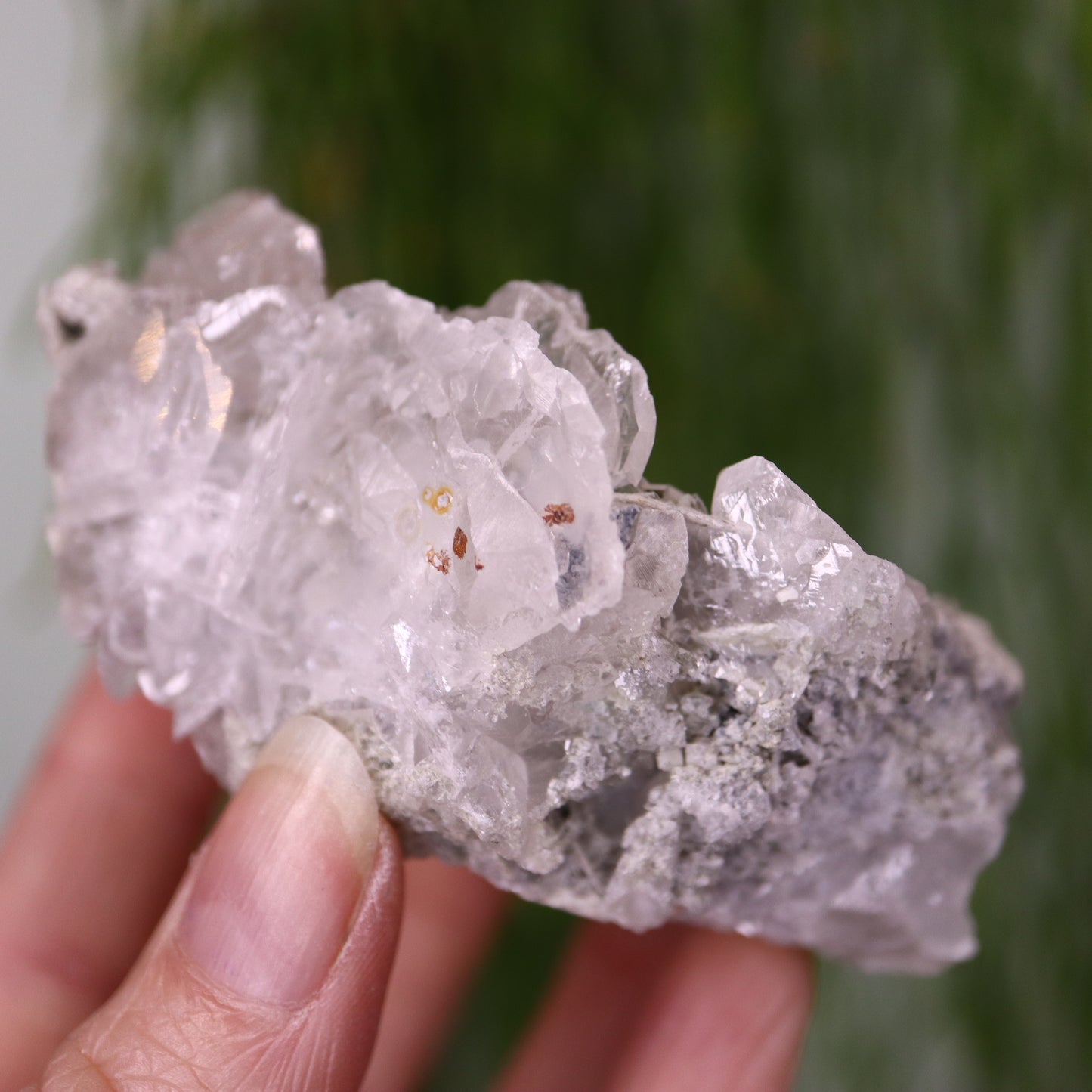 Calciet