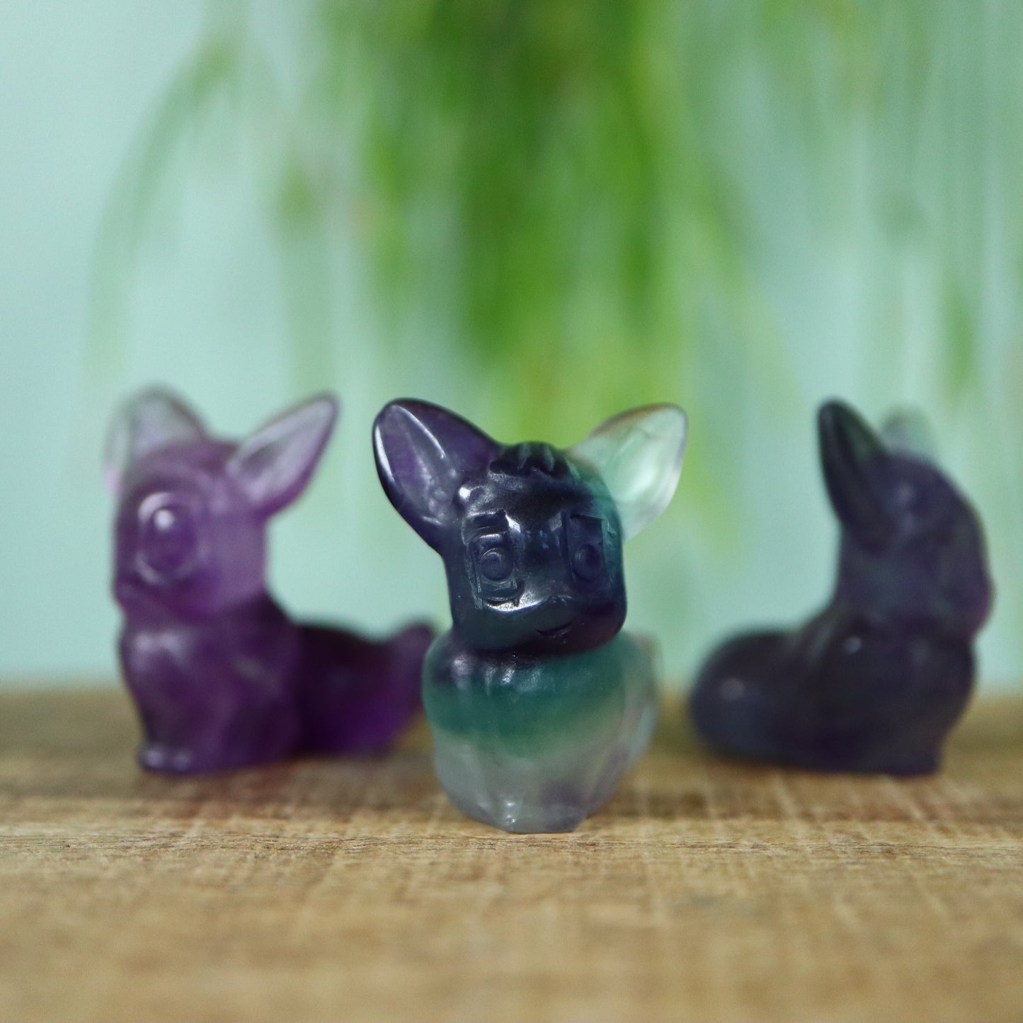 Eevee Fluoriet