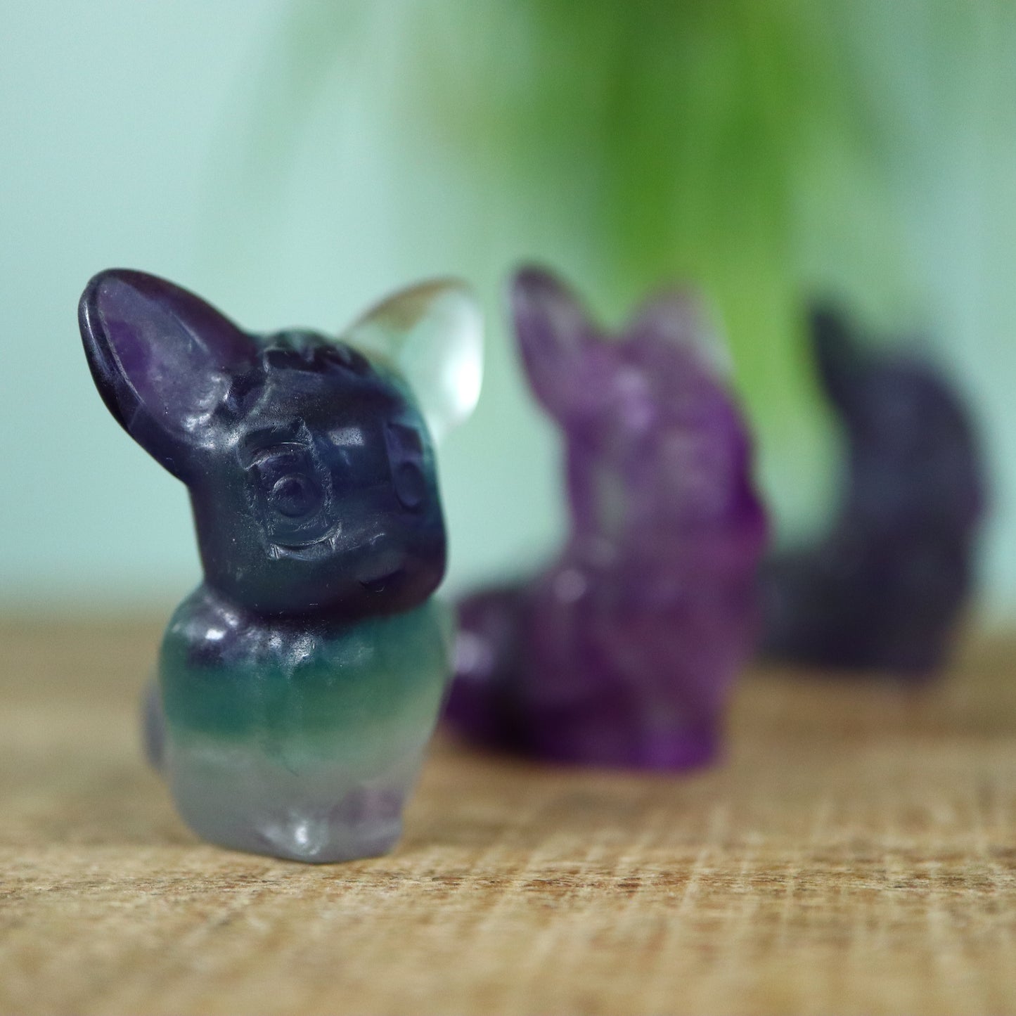 Eevee Fluoriet