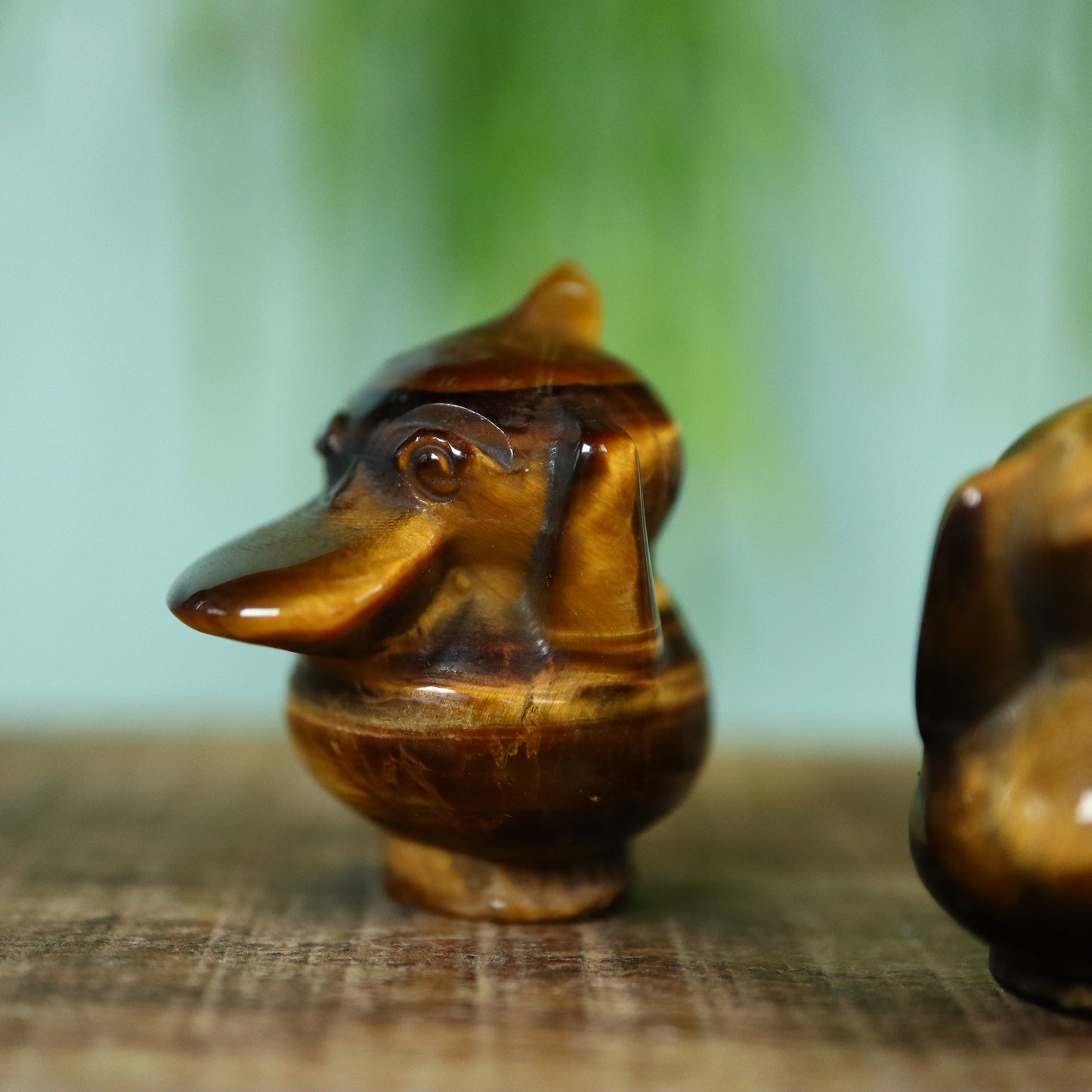 Psyduck Tijgeroog