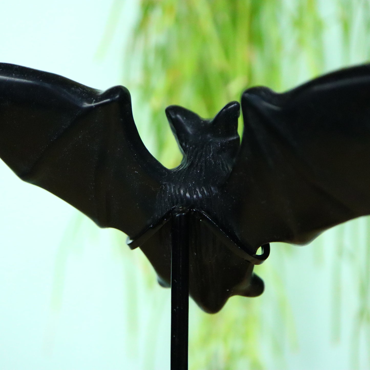 Vleermuis obsidiaan