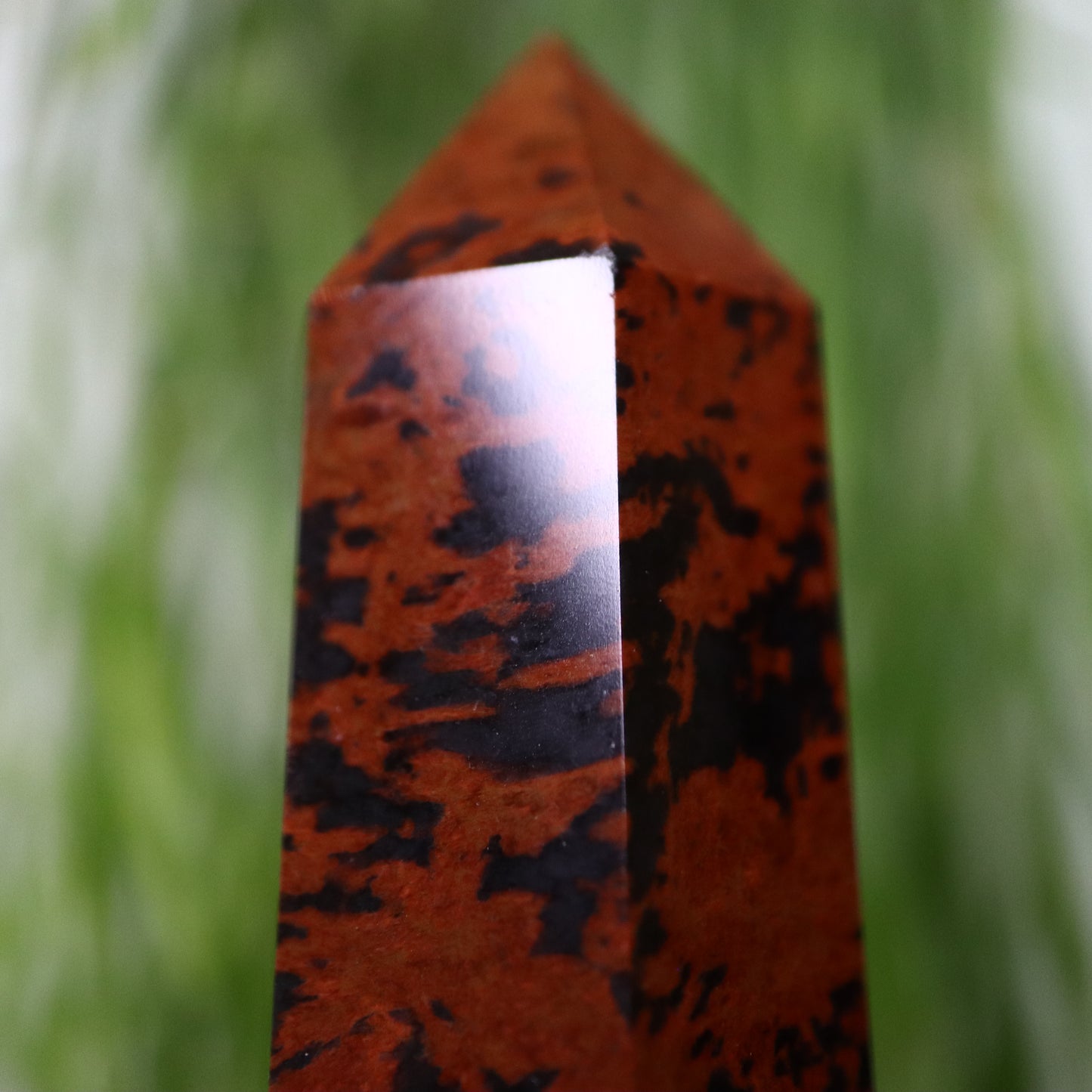 Mahonie obsidiaan