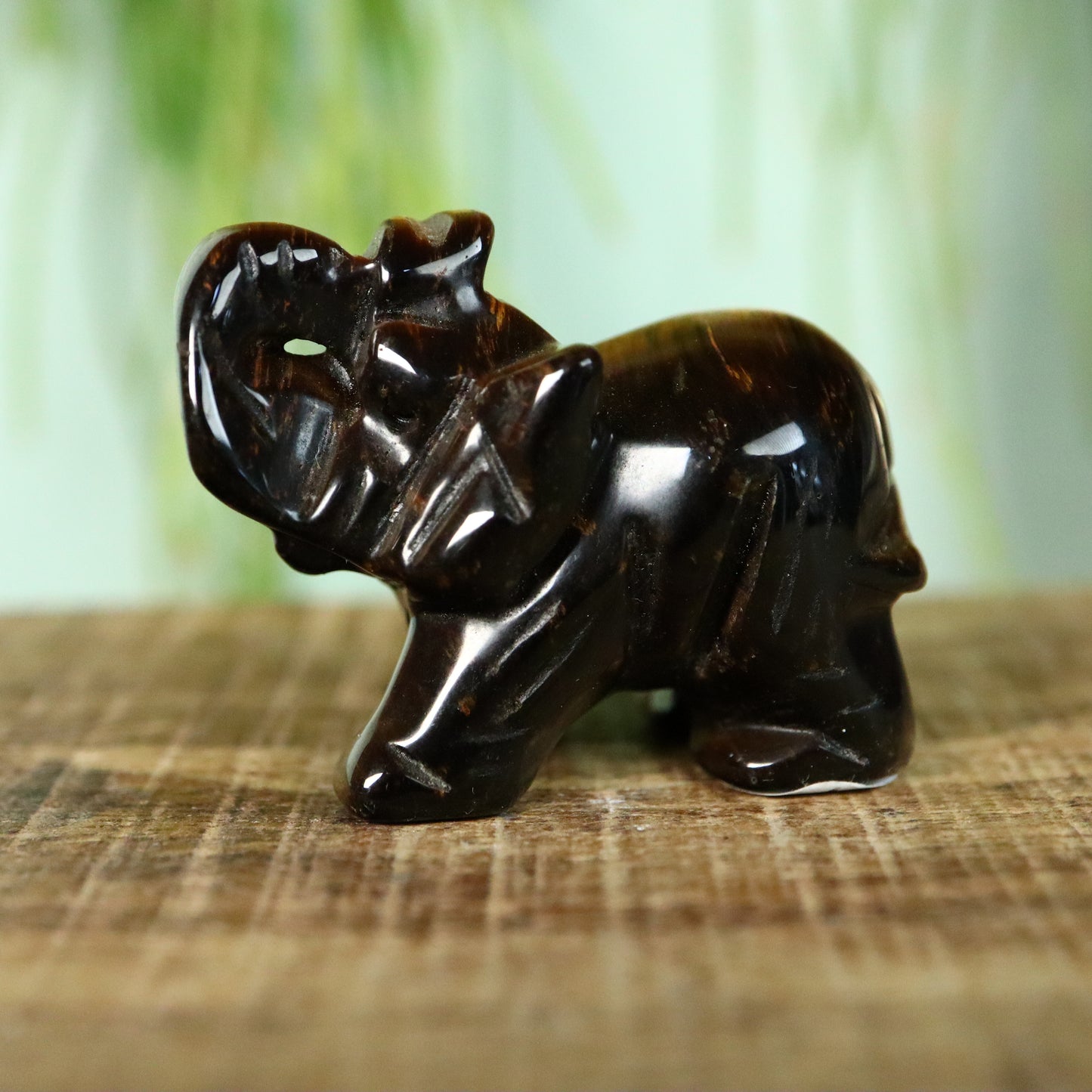 Olifant Tijgeroog