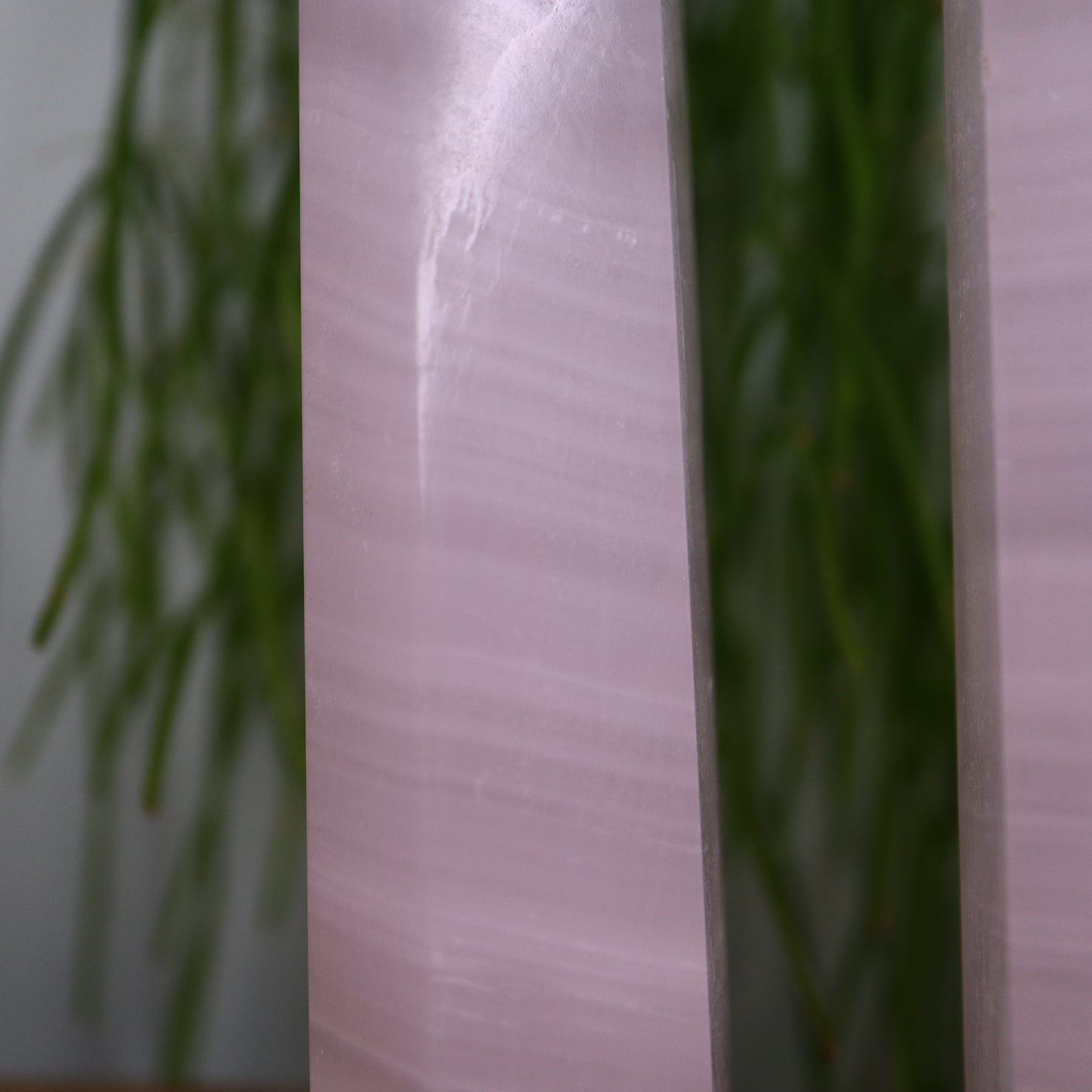 Mangano Calciet UV