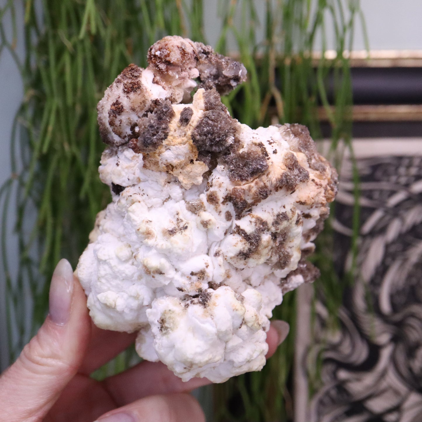 Popcorn seleniet