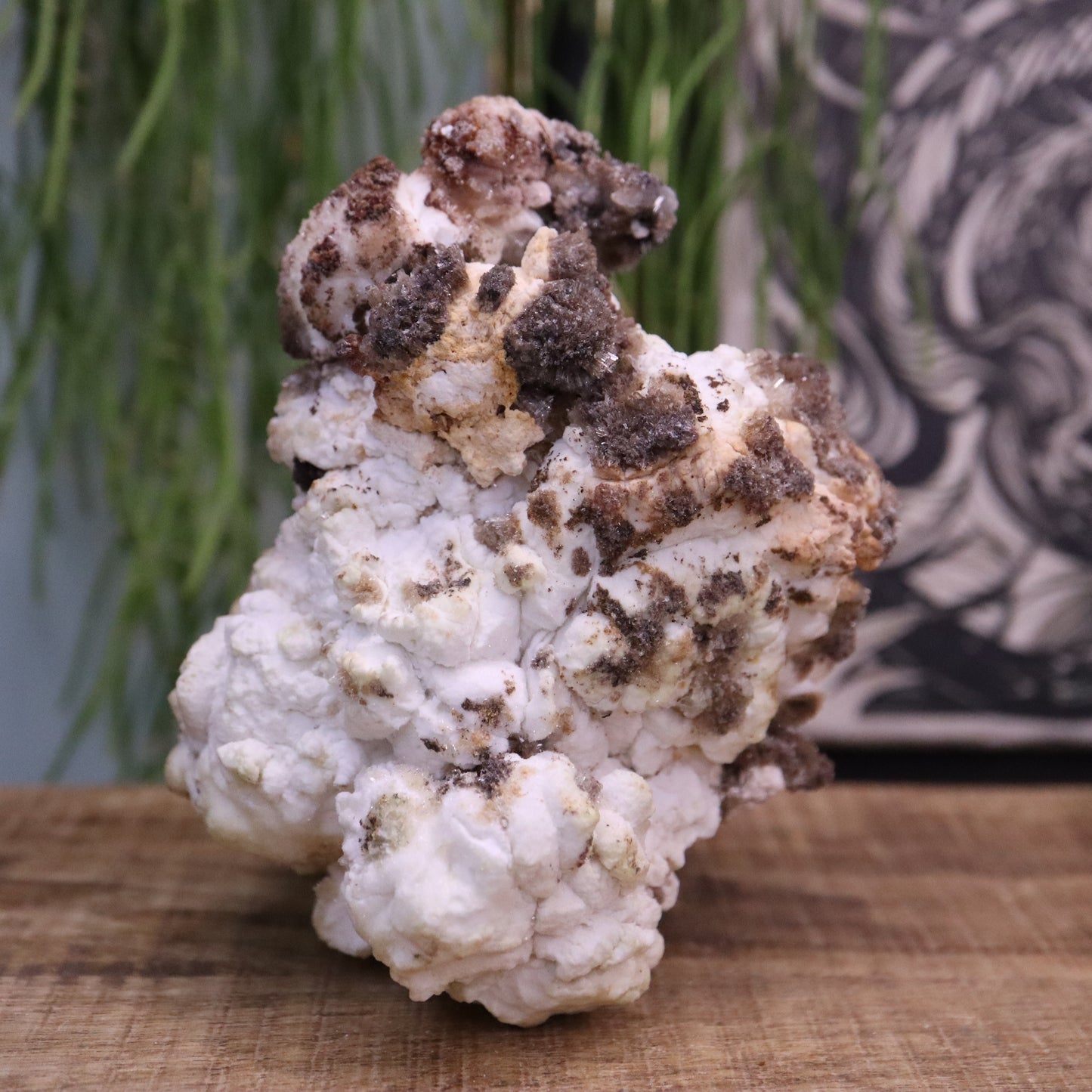 Popcorn seleniet