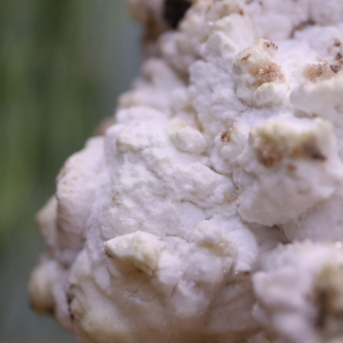Popcorn seleniet
