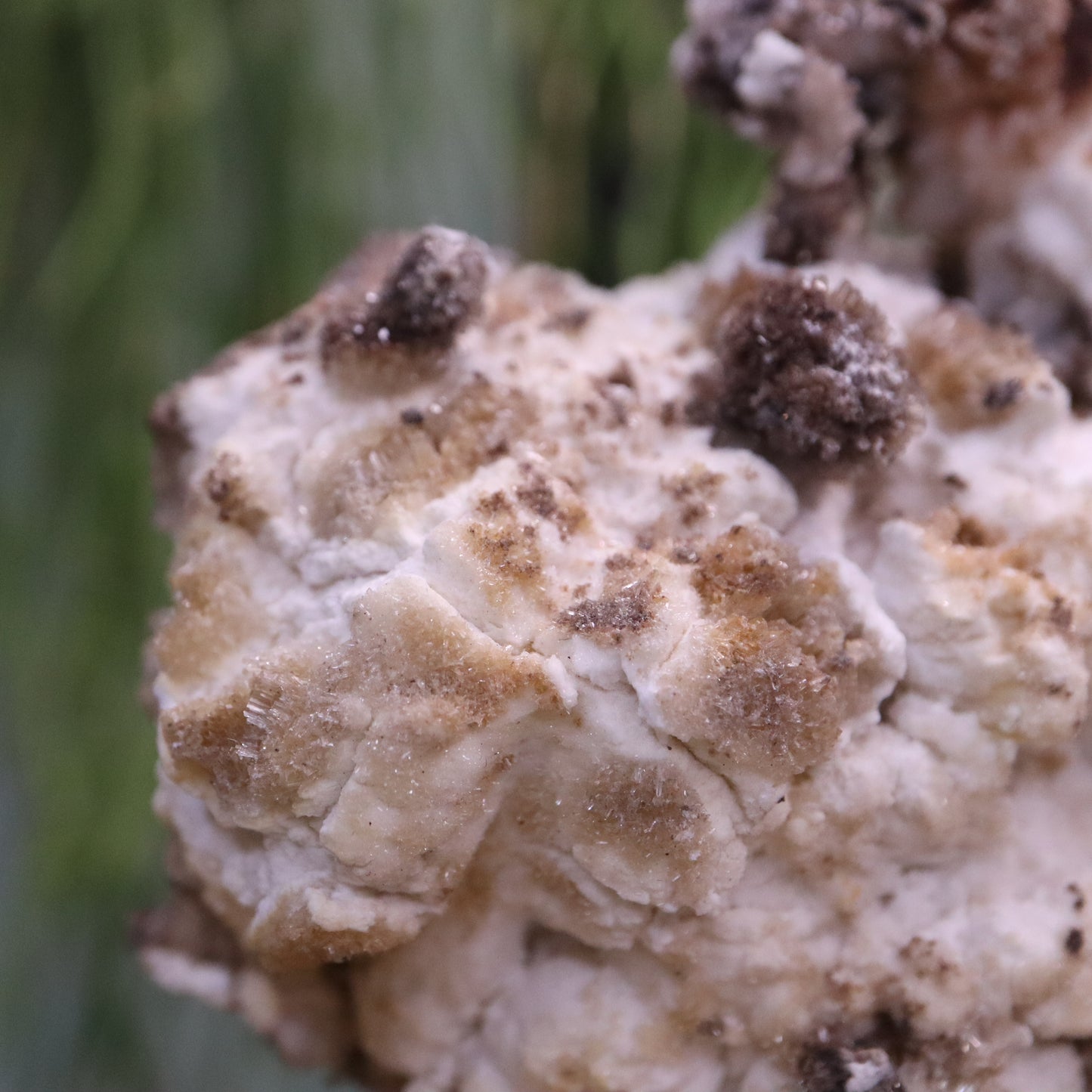 Popcorn seleniet