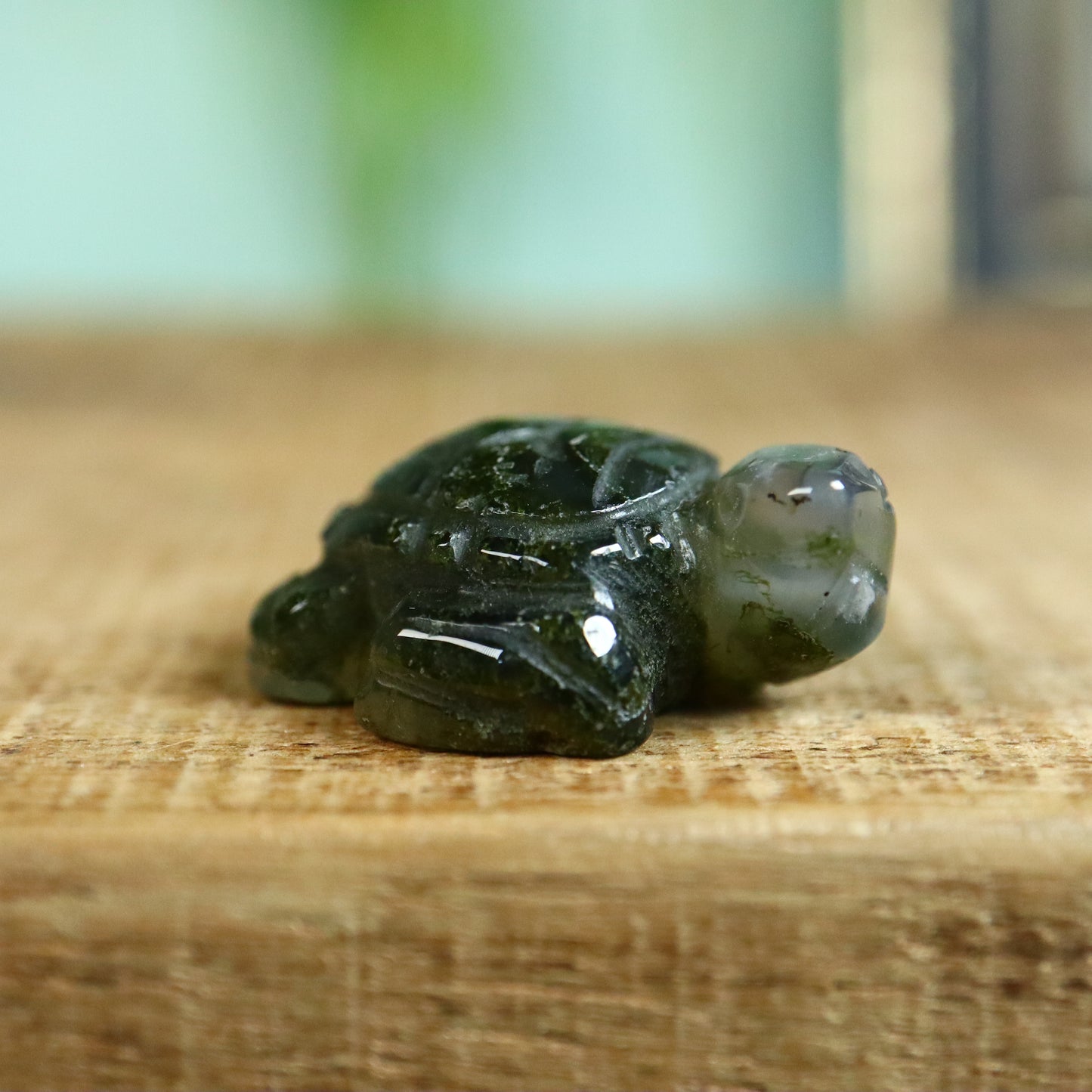 Schildpad mos agaat