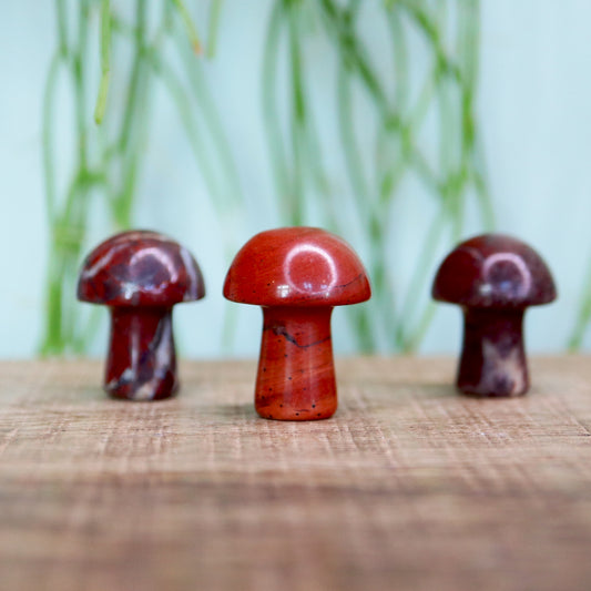 Mini mushroom Rode jasper