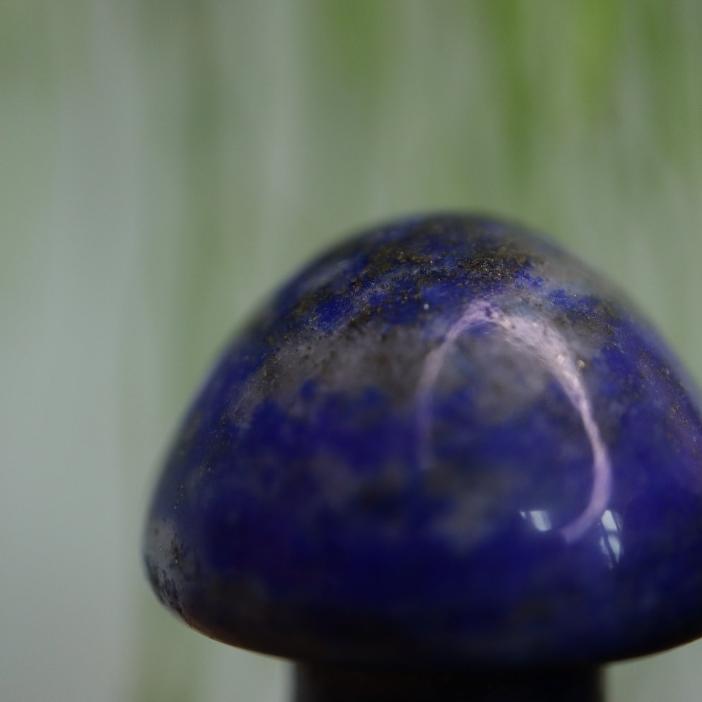 Lapis lazuli paddestoel