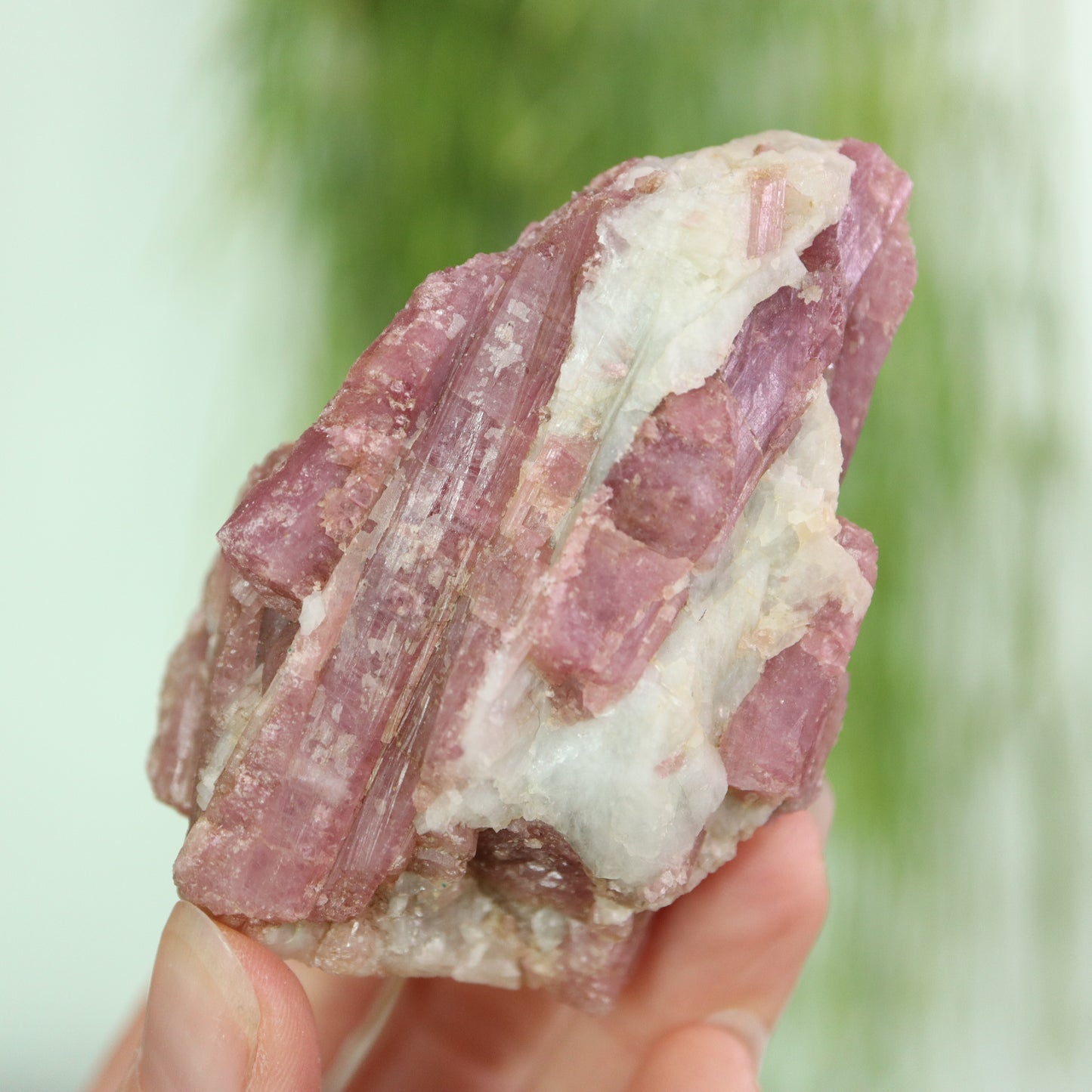 Roze toermalijn in kwarts