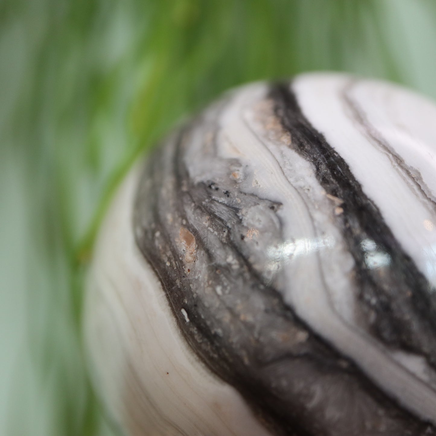 Zebra calciet
