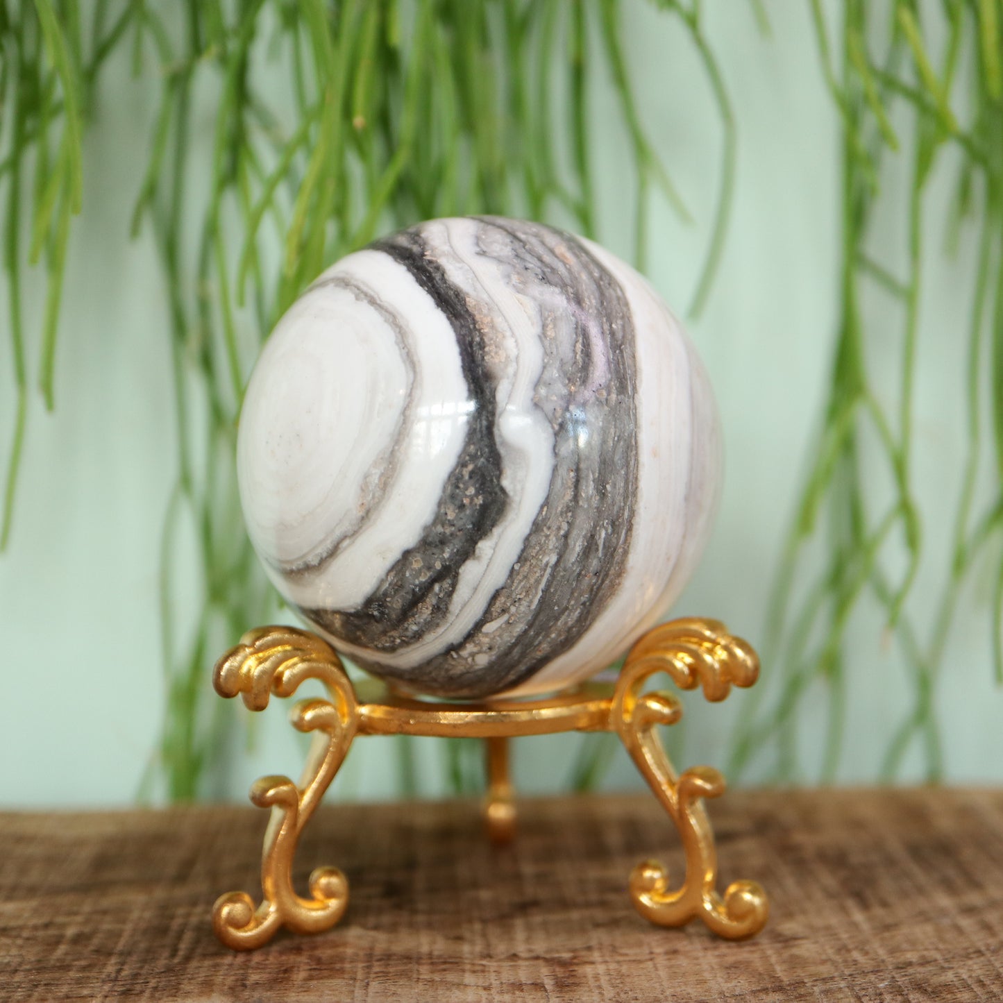 Zebra calciet