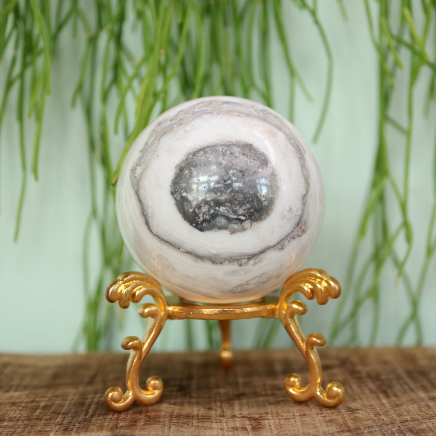 Zebra calciet