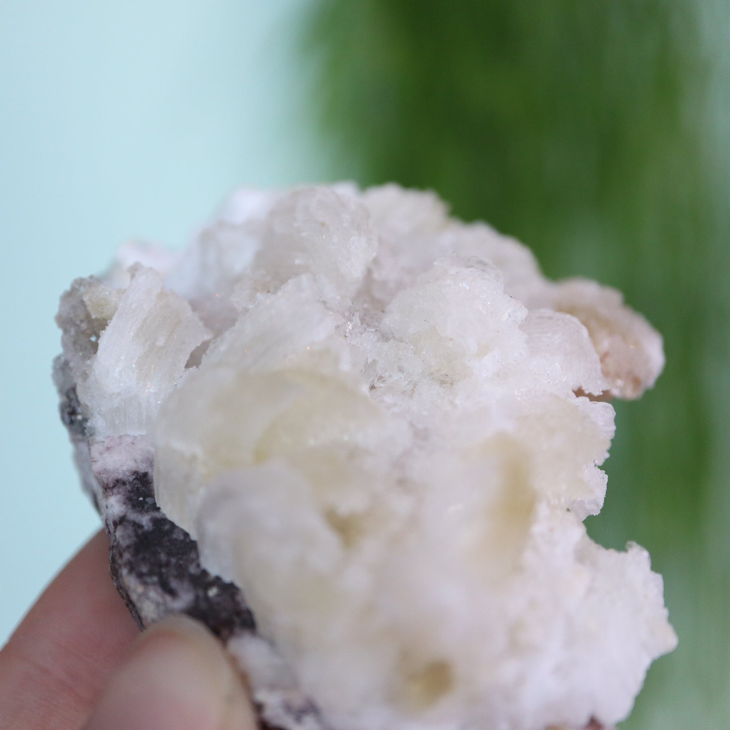 Gypsum var. Rams horn