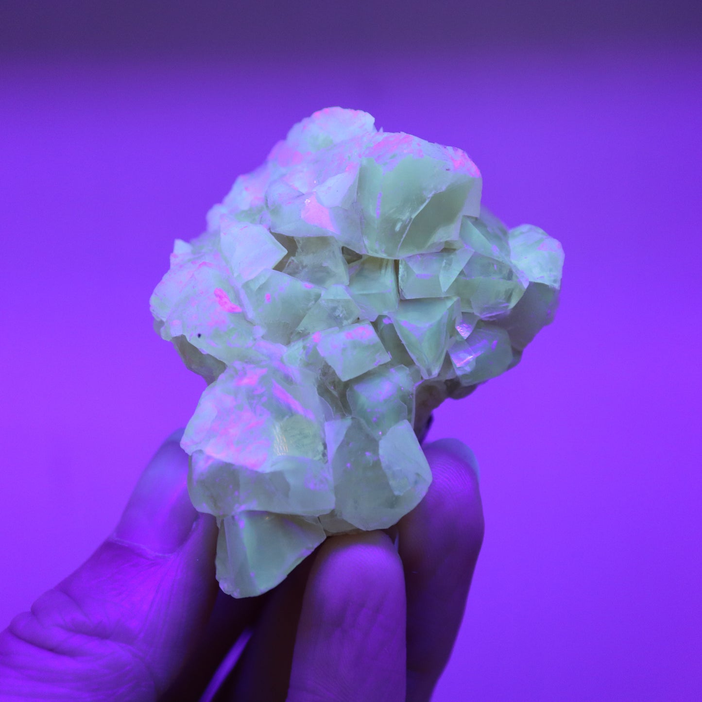 Honey calcite cluster UV