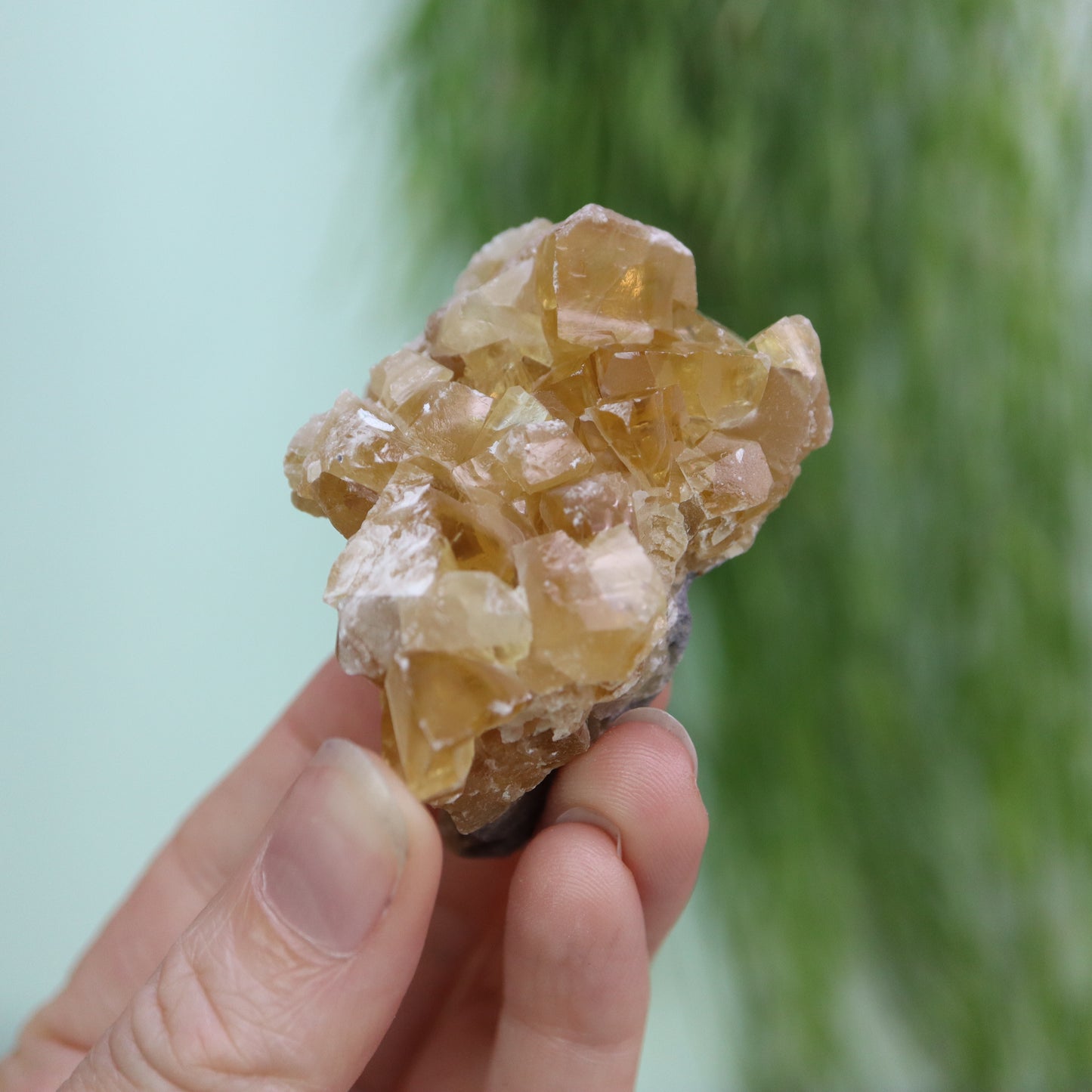 Honey calcite cluster UV