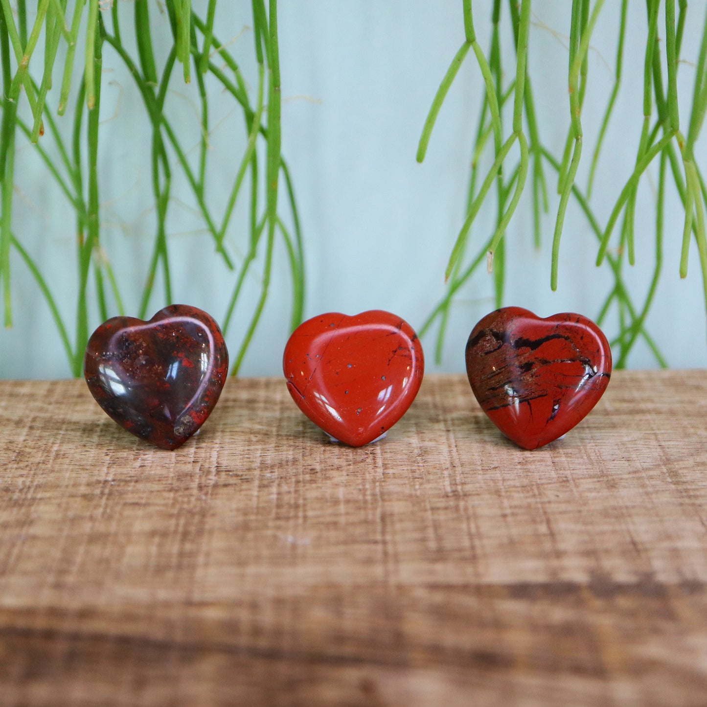 Klein hart rode jasper