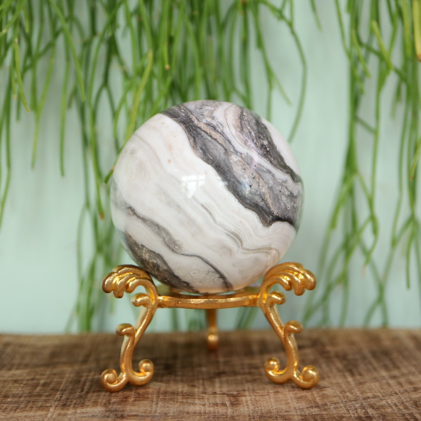 Zebra calciet